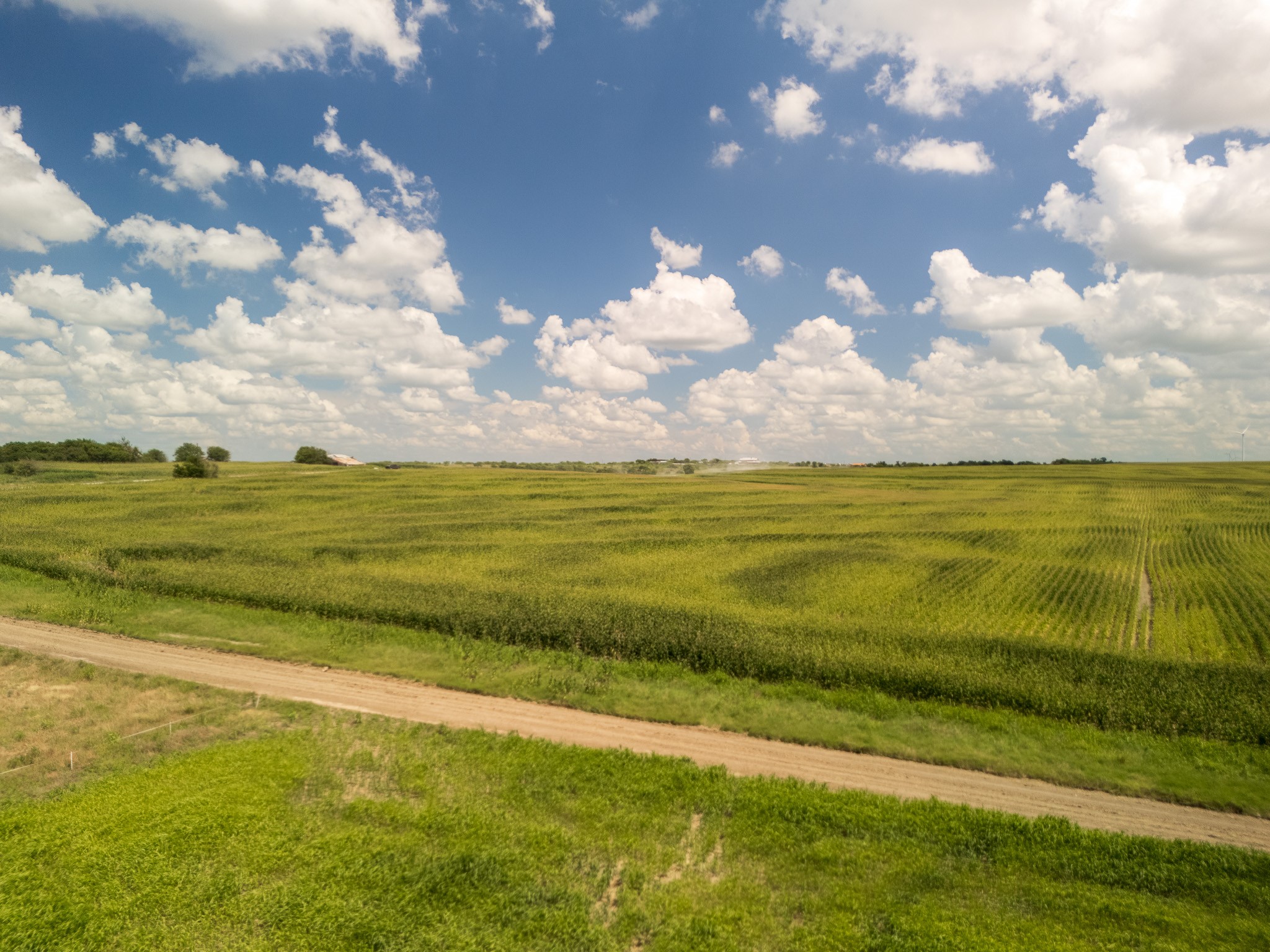 11 Acres | Tbd County Road 3150 Hubbard TX 76648