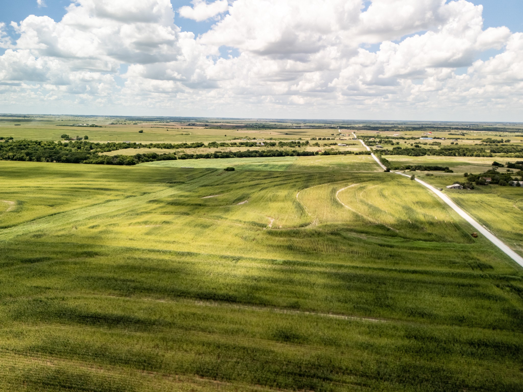 11 Acres | Tbd County Road 3150 Hubbard TX 76648