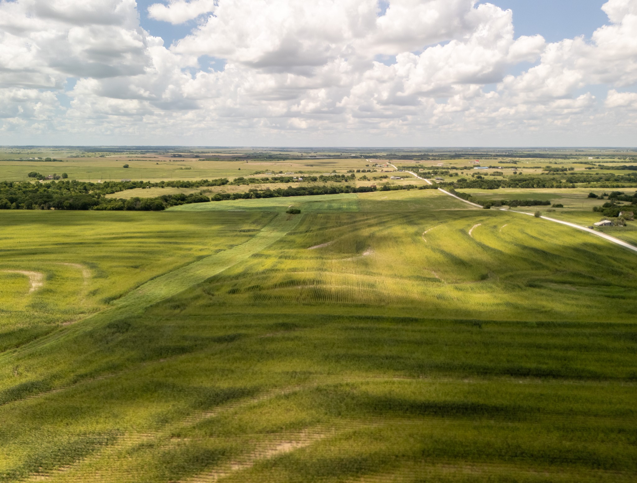 11 Acres | Tbd County Road 3150 Hubbard TX 76648