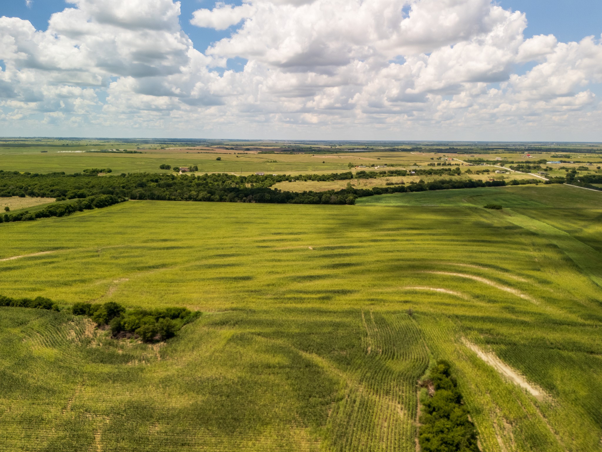 11 Acres | Tbd County Road 3150 Hubbard TX 76648