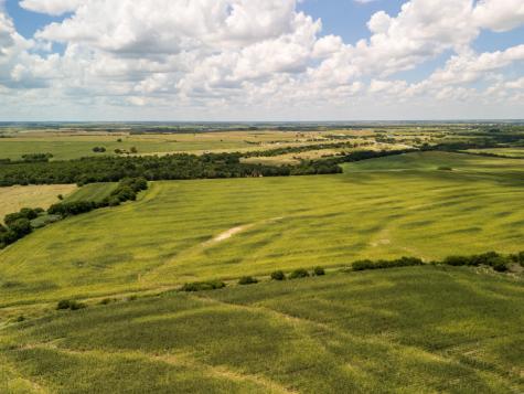 11 Acres | Tbd County Road 3150 Hubbard TX 76648