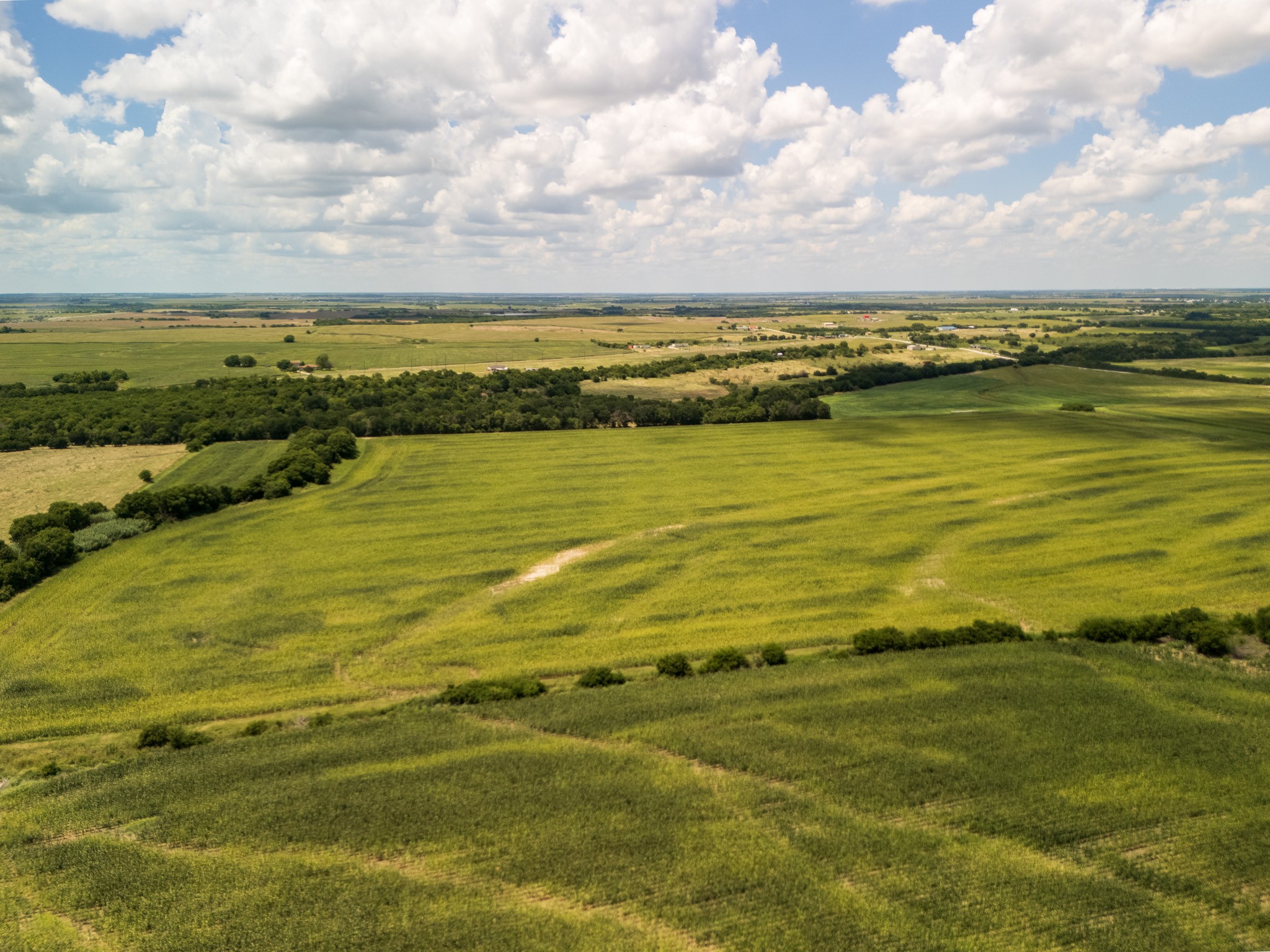 11 Acres | Tbd County Road 3150 Hubbard TX 76648