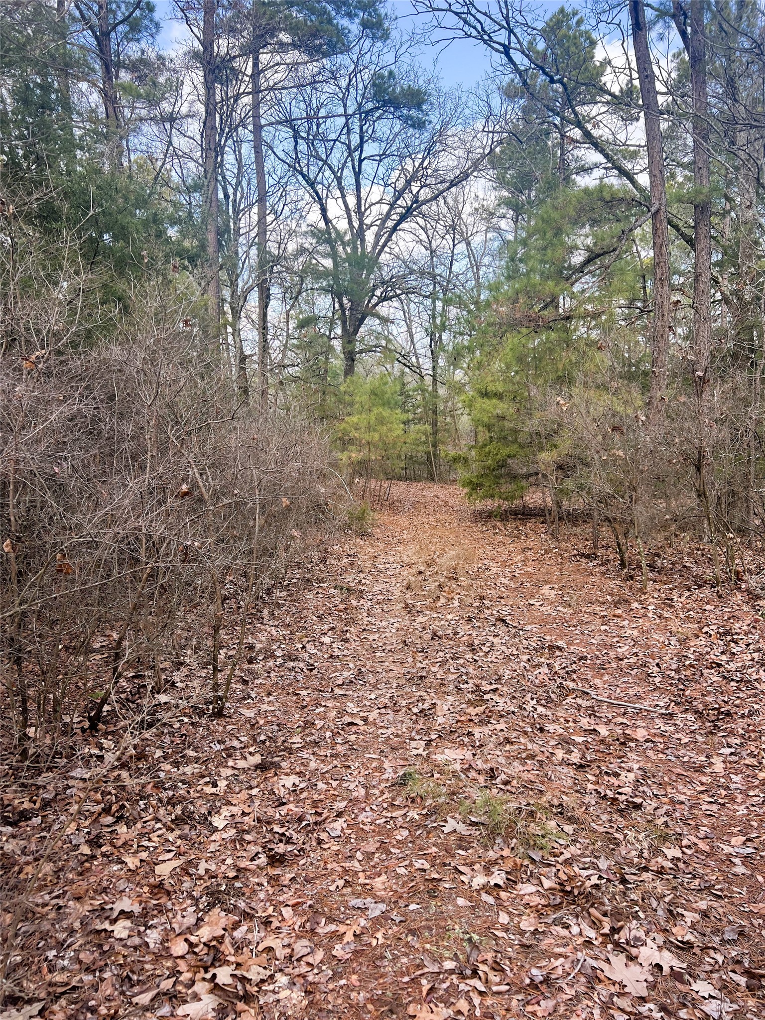 000 Private Road 8000 Winnsboro TX 75494