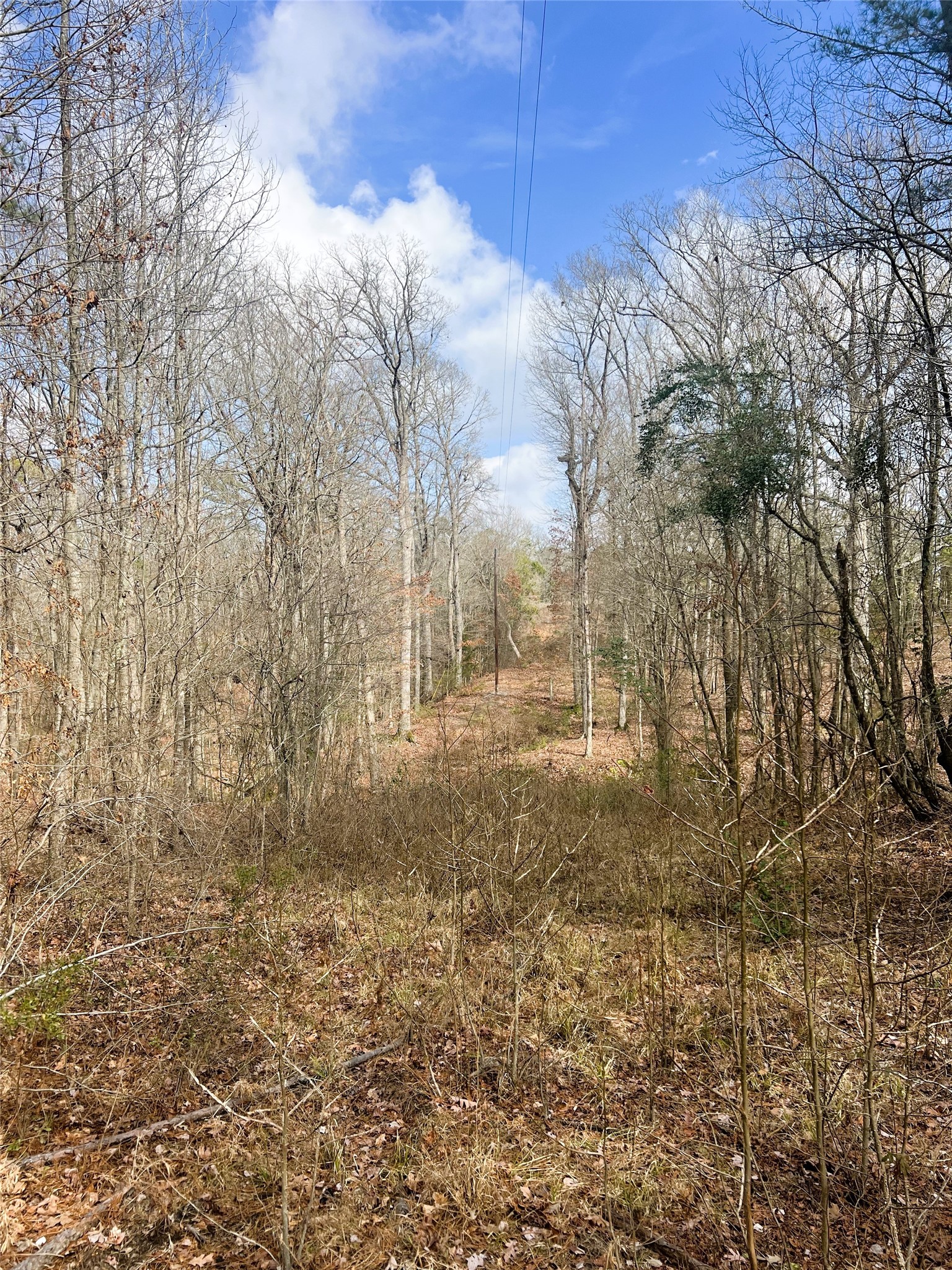 000 Private Road 8000 Winnsboro TX 75494
