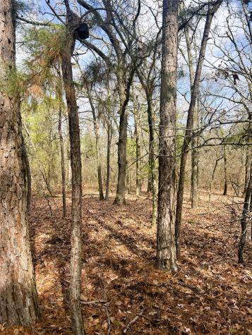 000 Private Road 8000 Winnsboro TX 75494