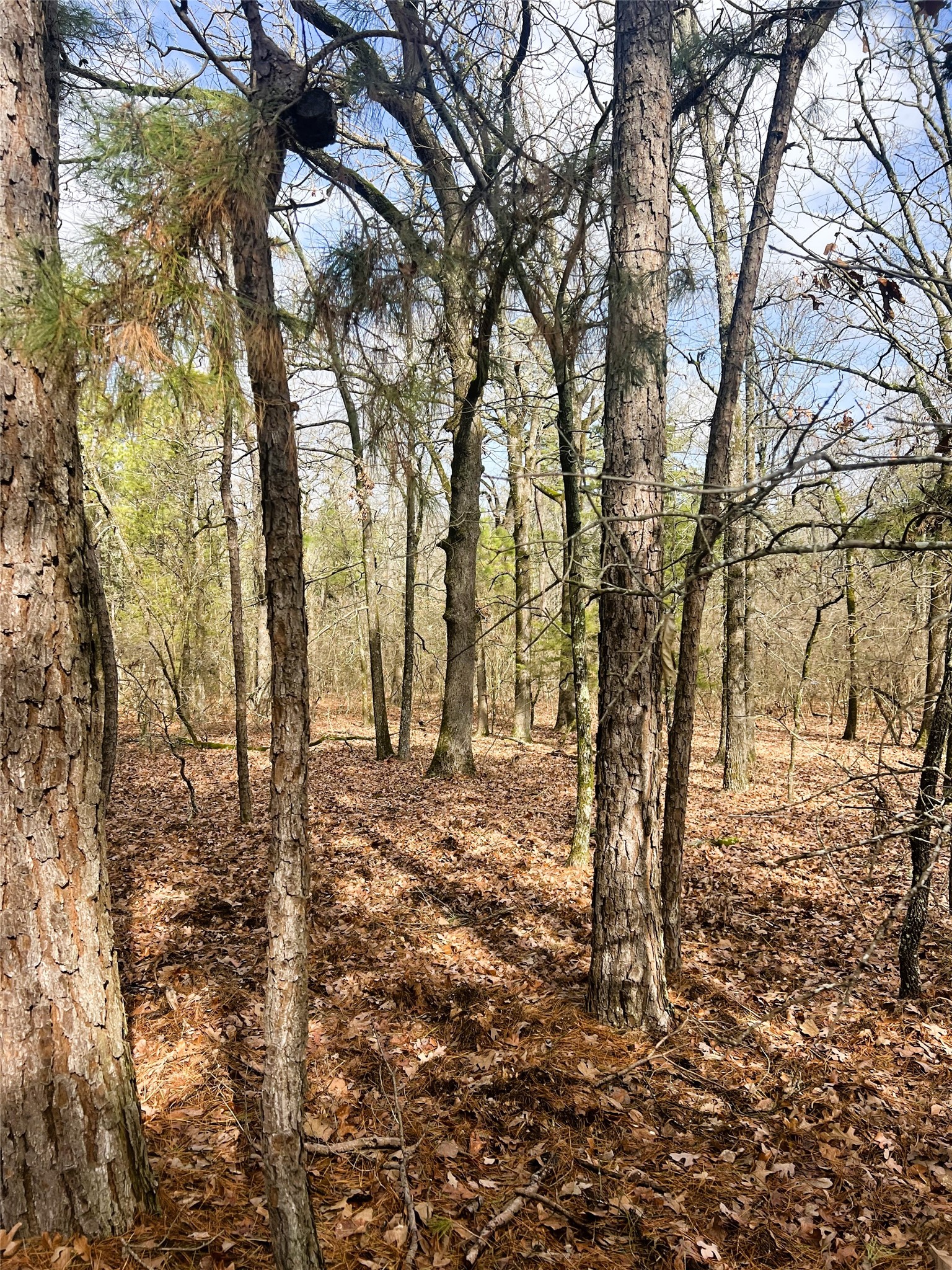 000 Private Road 8000 Winnsboro TX 75494