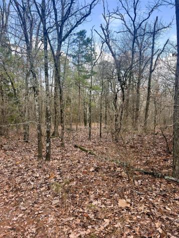 000 Private Road 8000 Winnsboro TX 75494