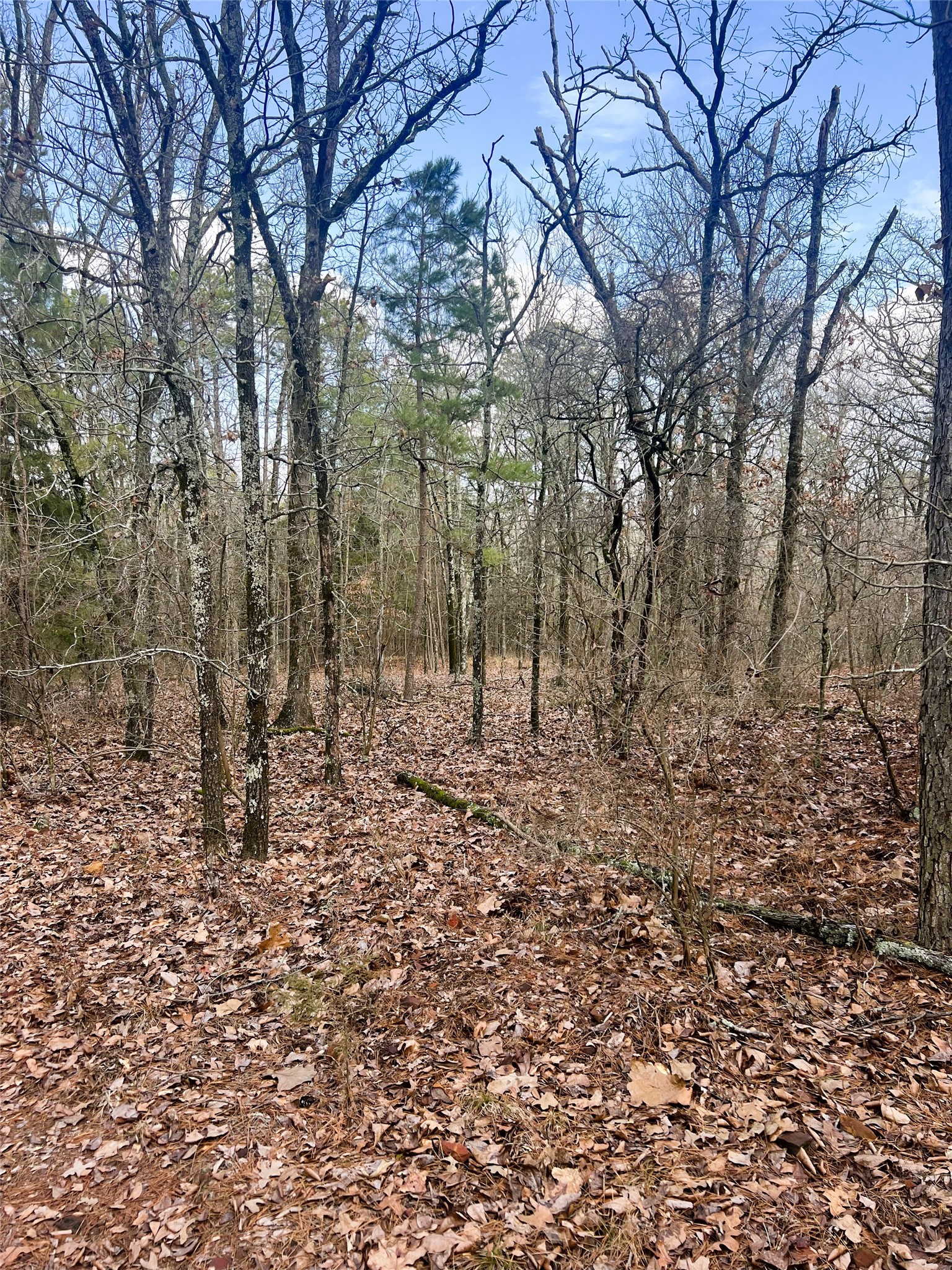 000 Private Road 8000 Winnsboro TX 75494