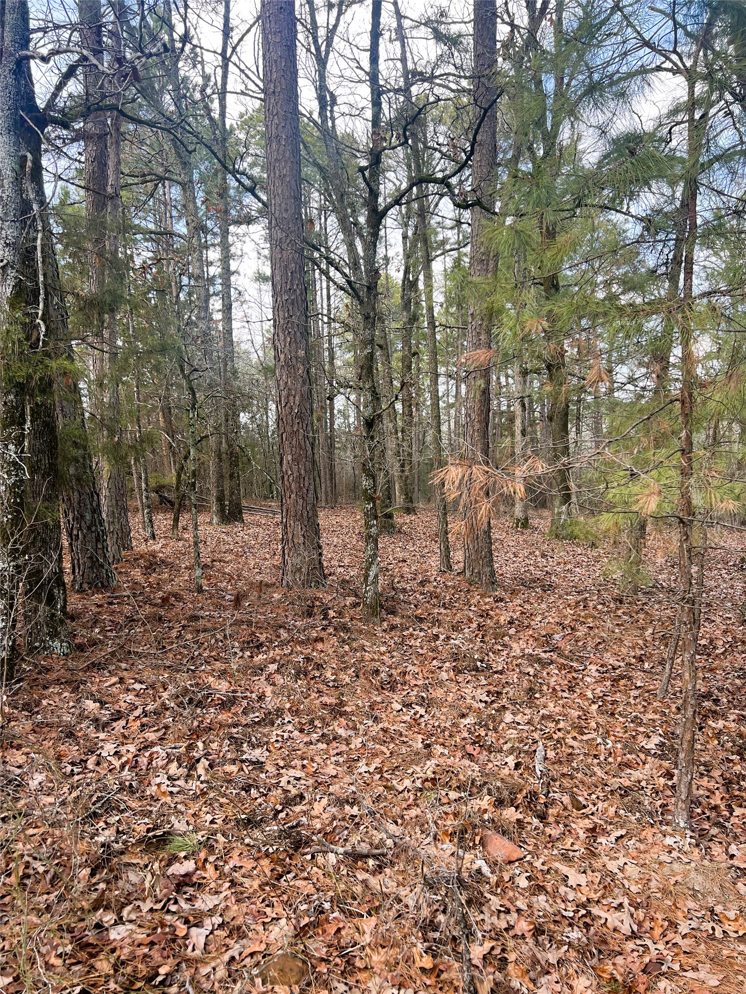 000 Private Road 8000 Winnsboro TX 75494