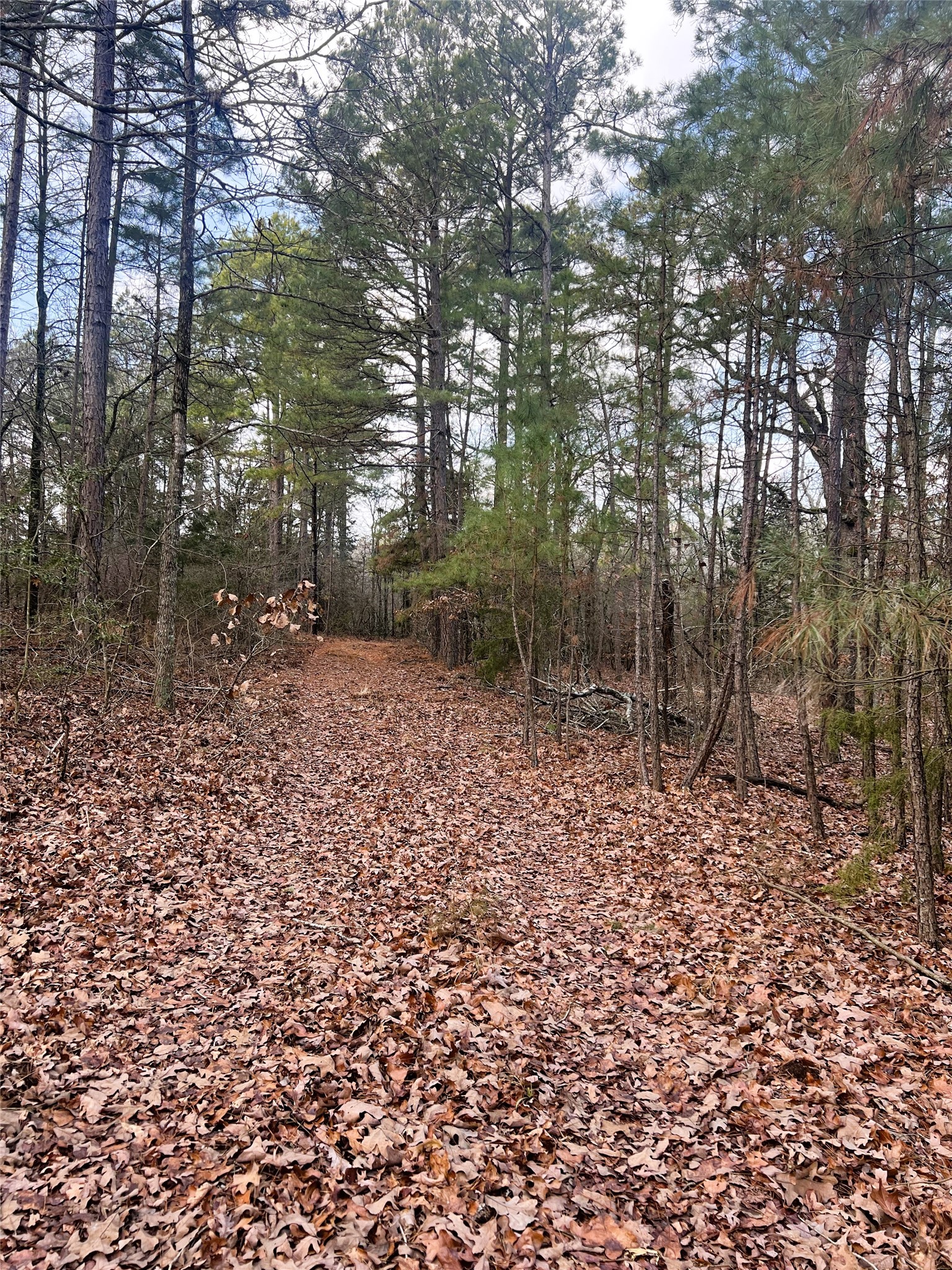 000 Private Road 8000 Winnsboro TX 75494