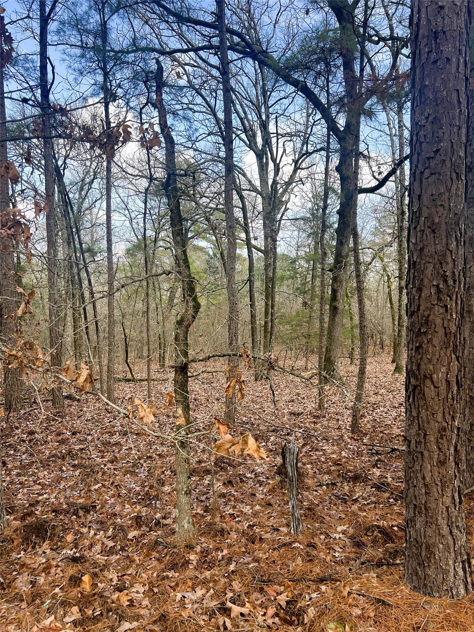 000 Private Road 8000 Winnsboro TX 75494