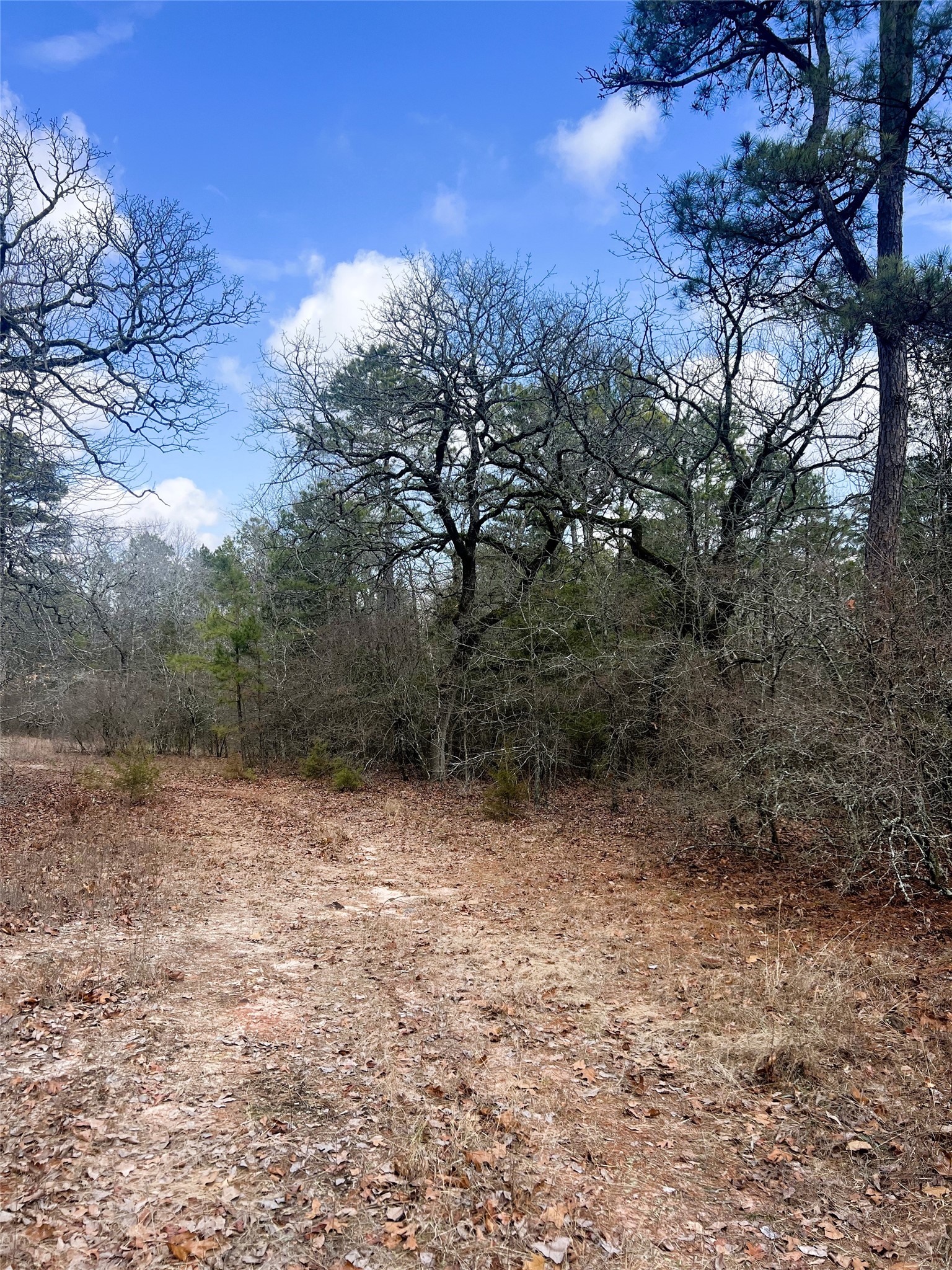 000 Private Road 8000 Winnsboro TX 75494