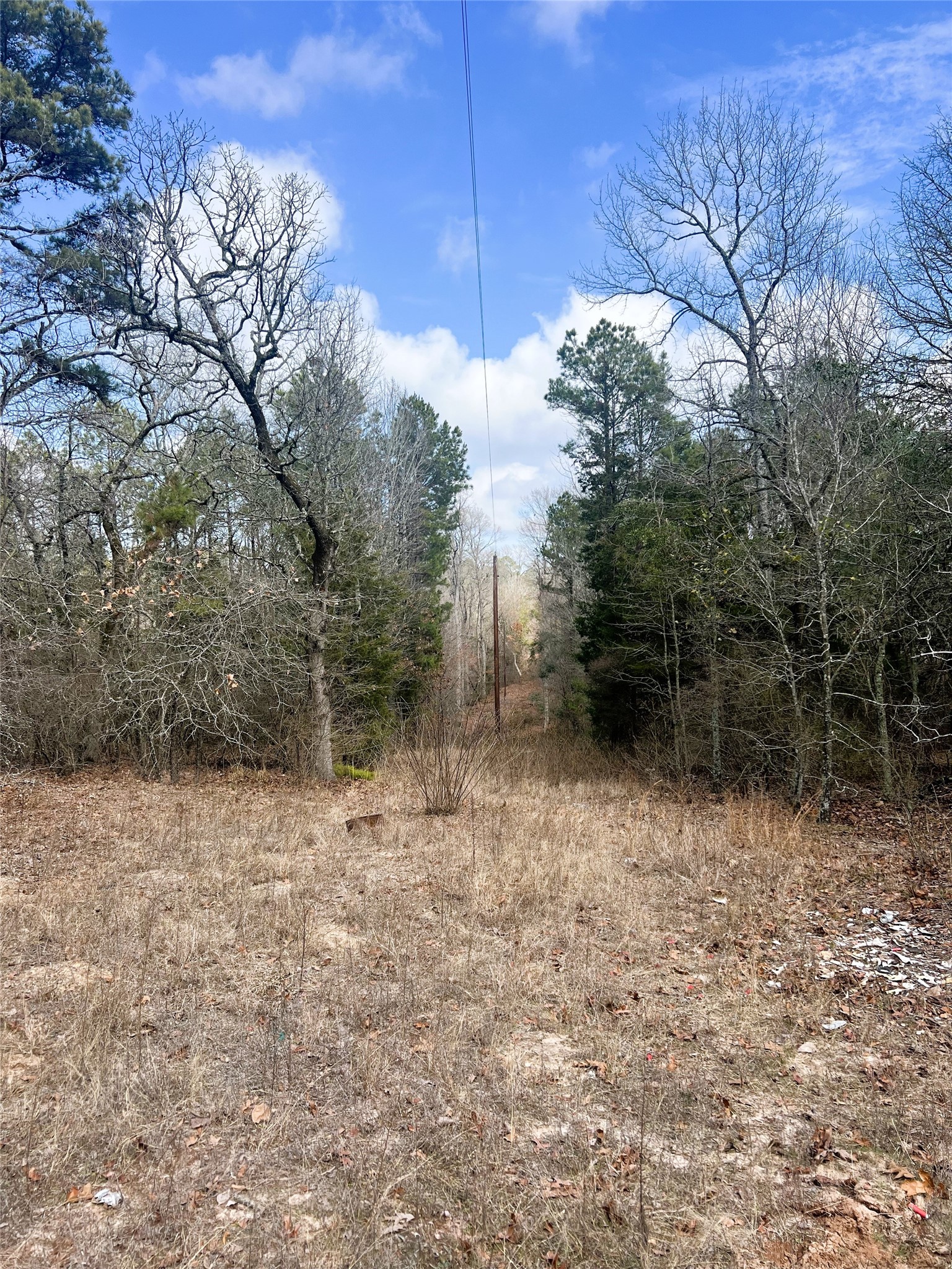 000 Private Road 8000 Winnsboro TX 75494