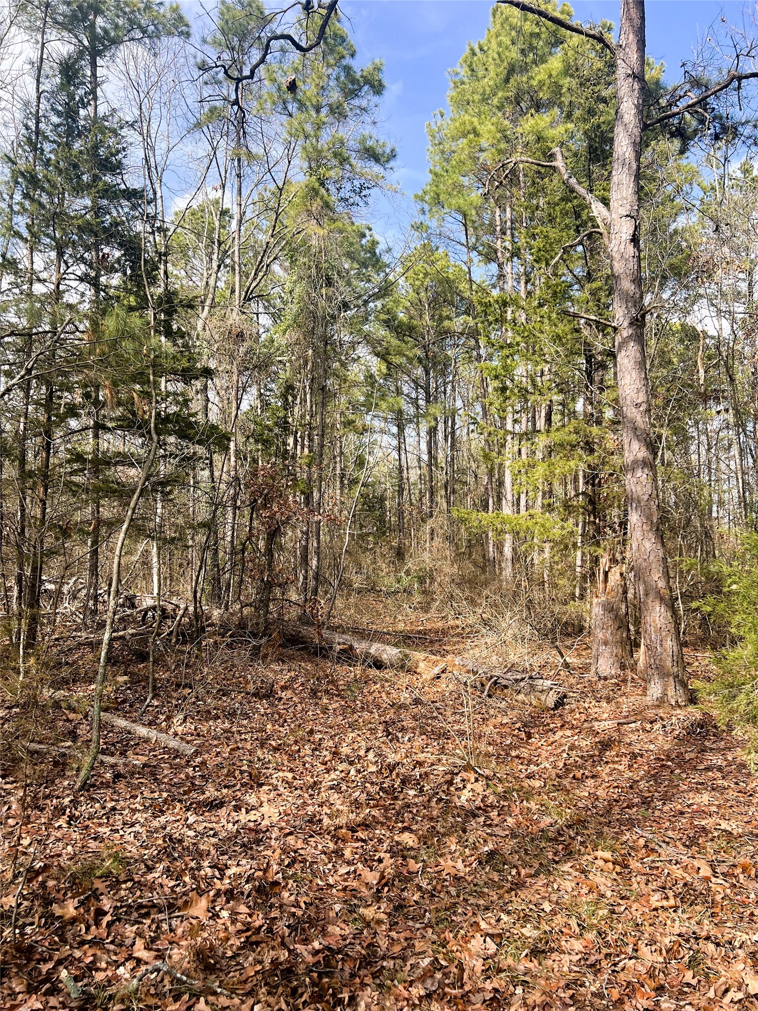 000 Private Road 8000 Winnsboro TX 75494