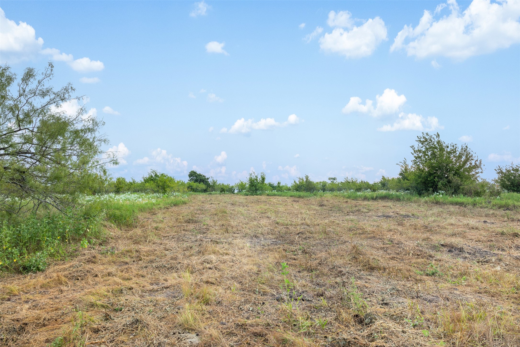 Tract 5 Tbd Lcr 390 Groesbeck TX 76642
