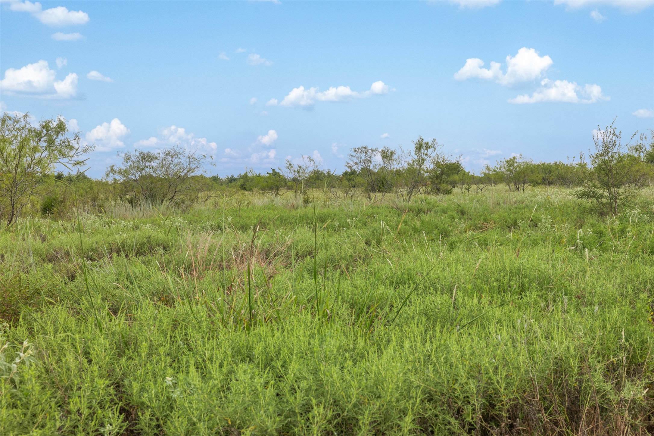 Tract 5 Tbd Lcr 390 Groesbeck TX 76642