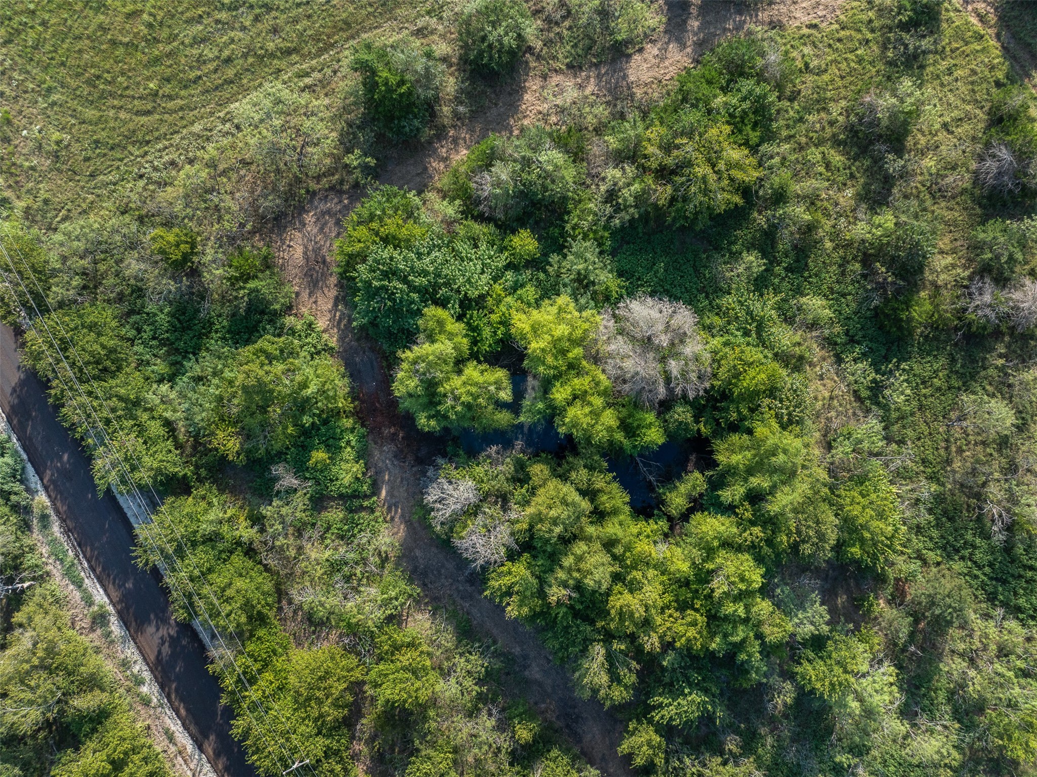 Tract 5 Tbd Lcr 390 Groesbeck TX 76642