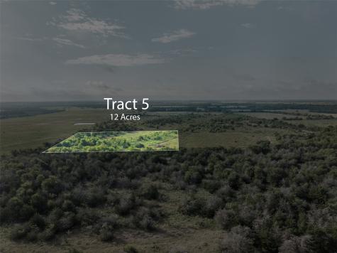 Tract 5 Tbd Lcr 390 Groesbeck TX 76642