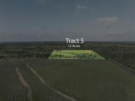 Tract 5 Tbd Lcr 390 Groesbeck TX 76642