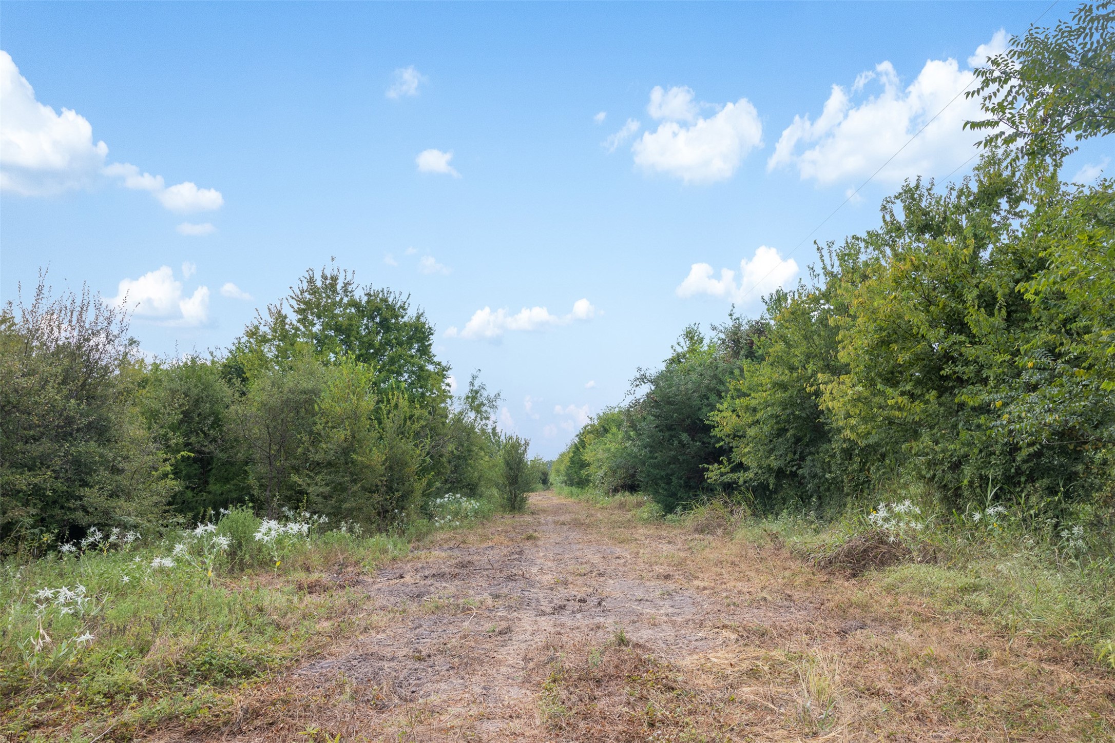 Tract 5 Tbd Lcr 390 Groesbeck TX 76642