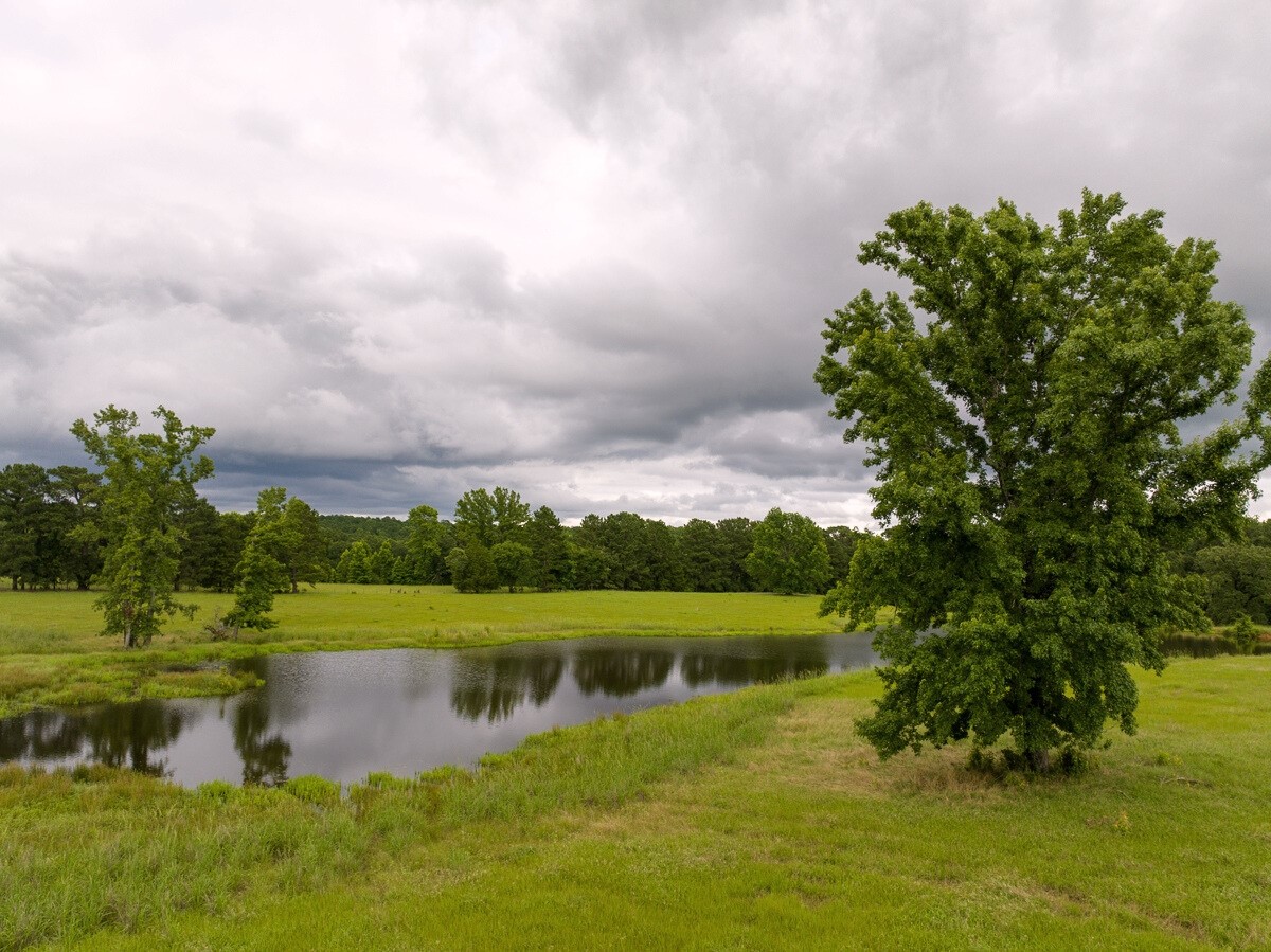 1 Fm 323 Elkhart TX 75839