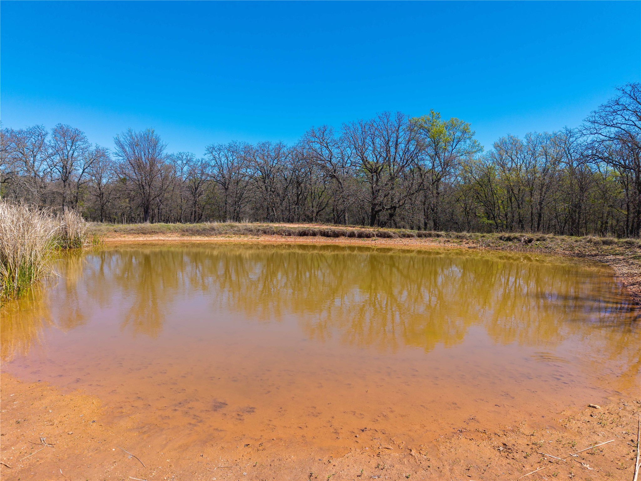 209 Cr 464 De Leon TX 76444