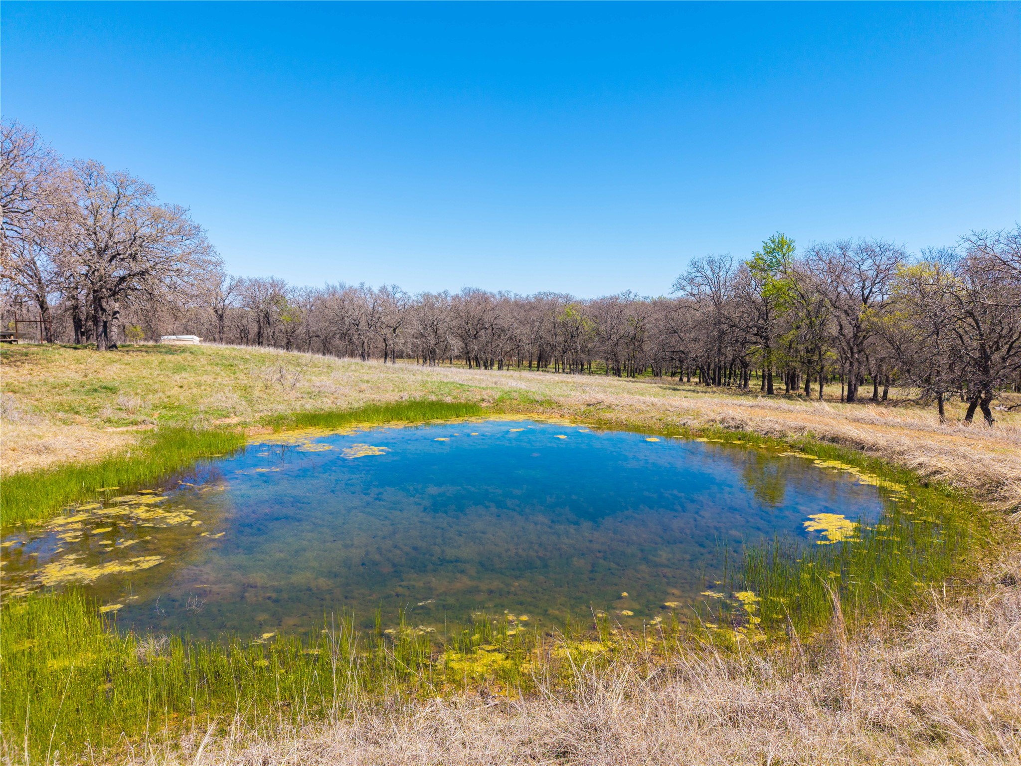 209 Cr 464 De Leon TX 76444
