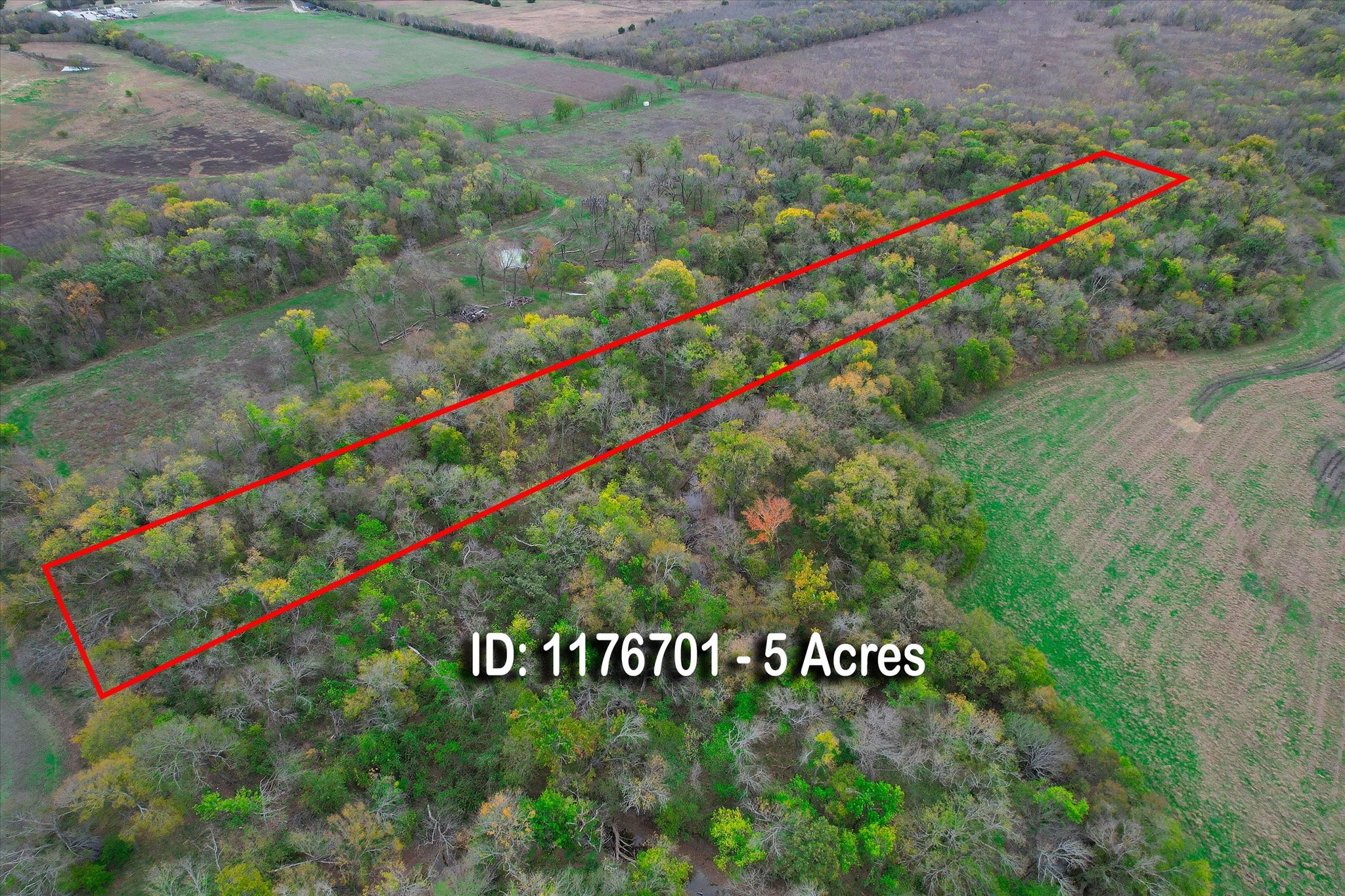 3034 County Road 463 Princeton TX 75047
