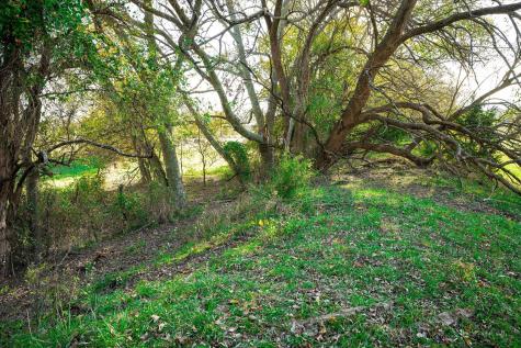 3034 County Road 463 Princeton TX 75047