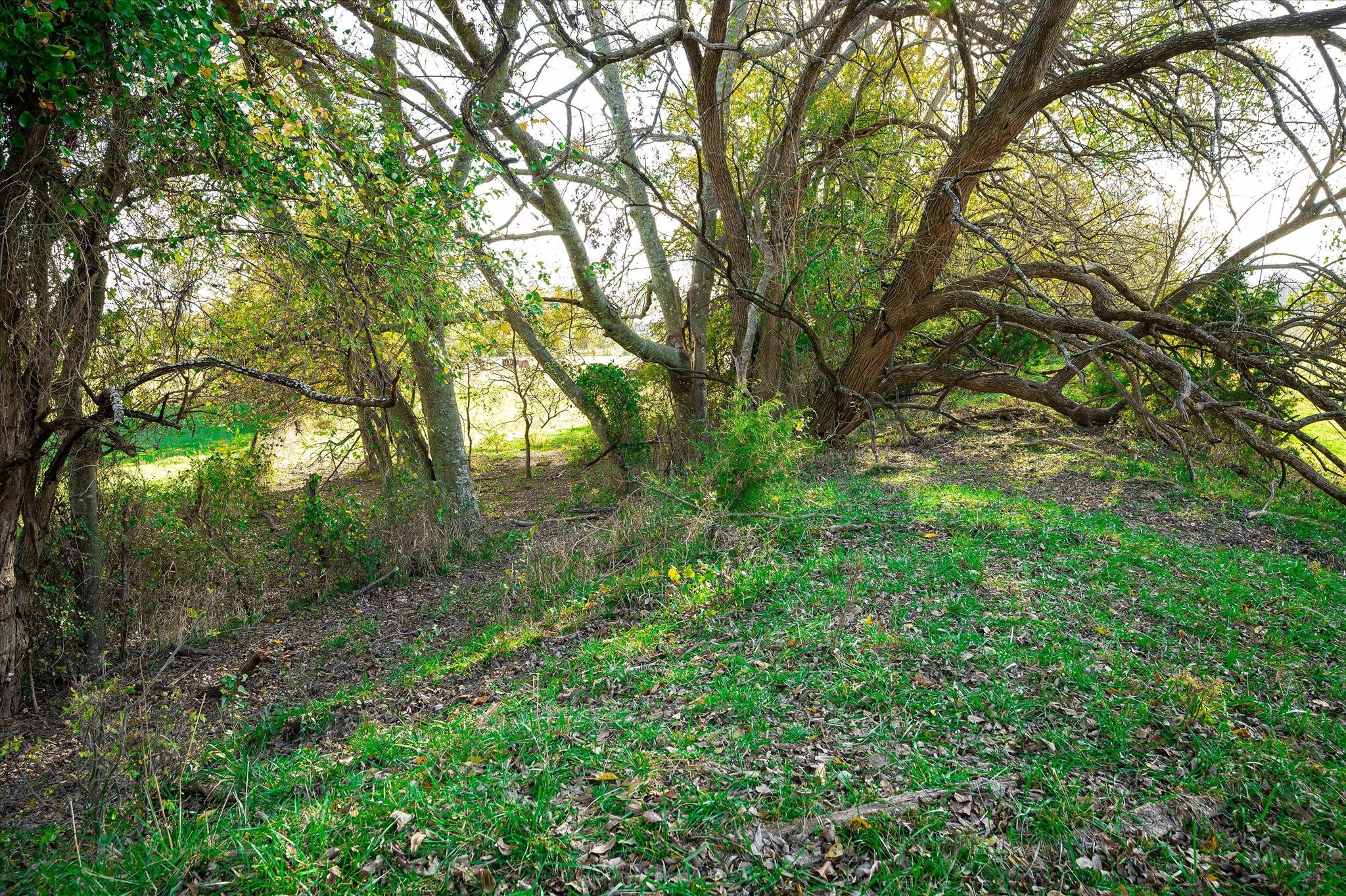 3034 County Road 463 Princeton TX 75047