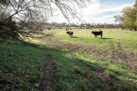 3034 County Road 463 Princeton TX 75047