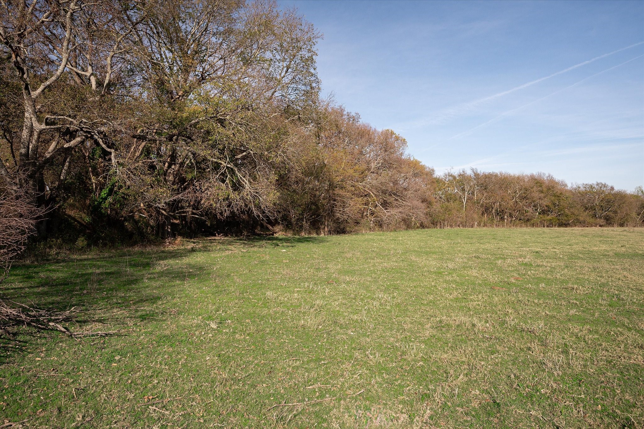 3034 County Road 463 Princeton TX 75047