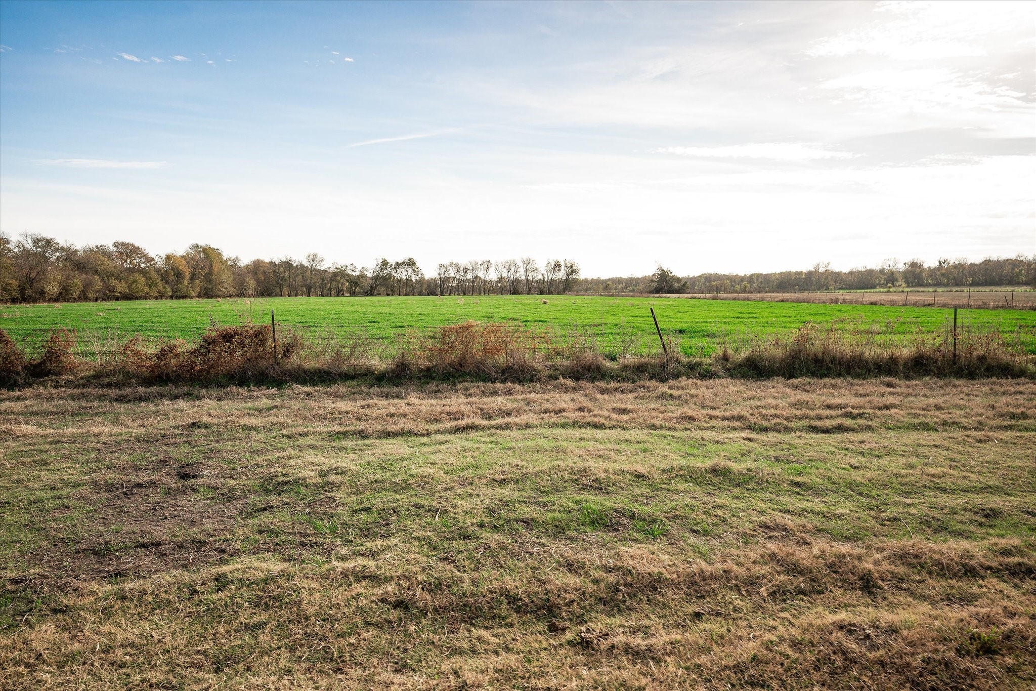3034 County Road 463 Princeton TX 75047