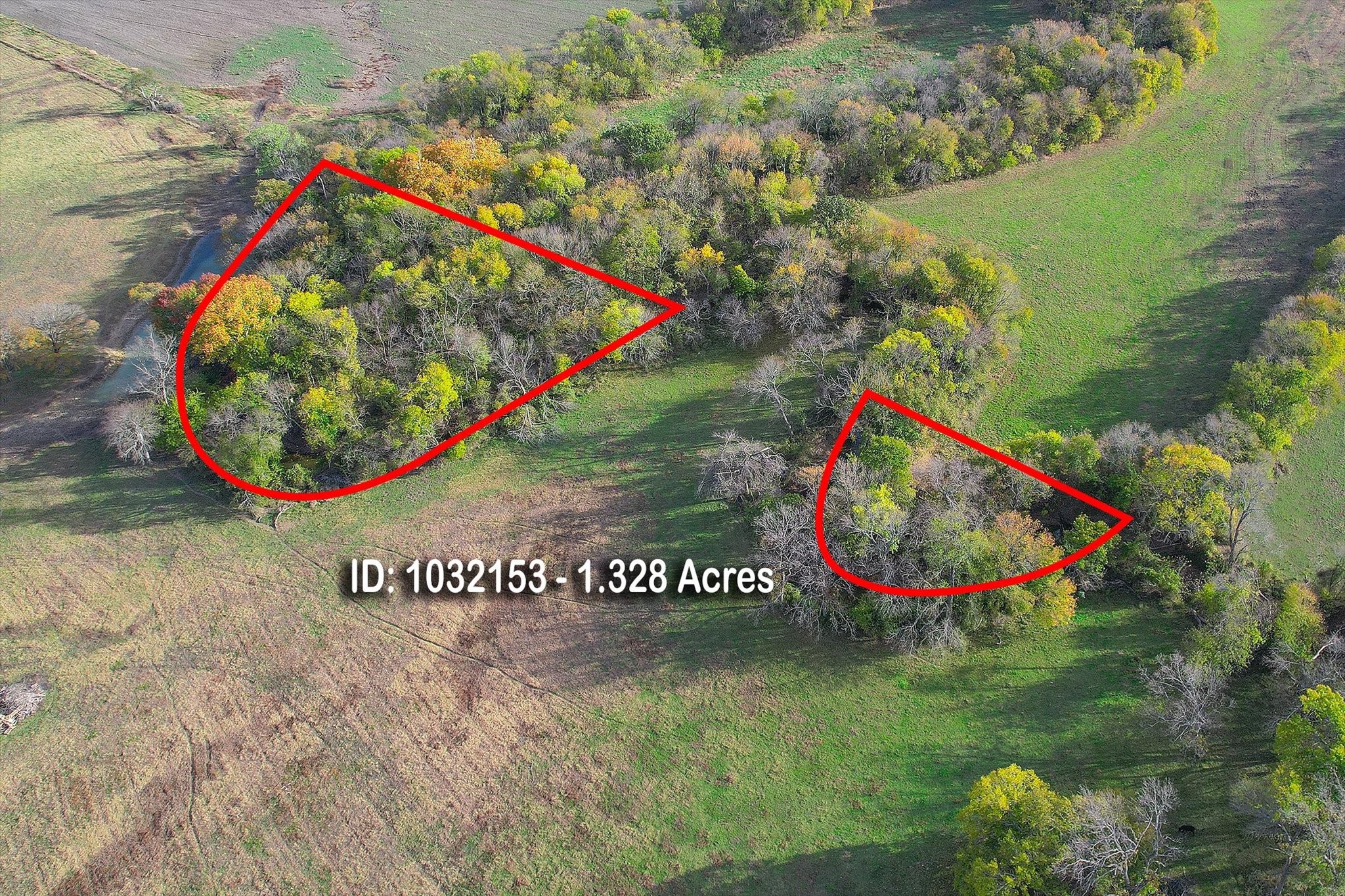 3034 County Road 463 Princeton TX 75047