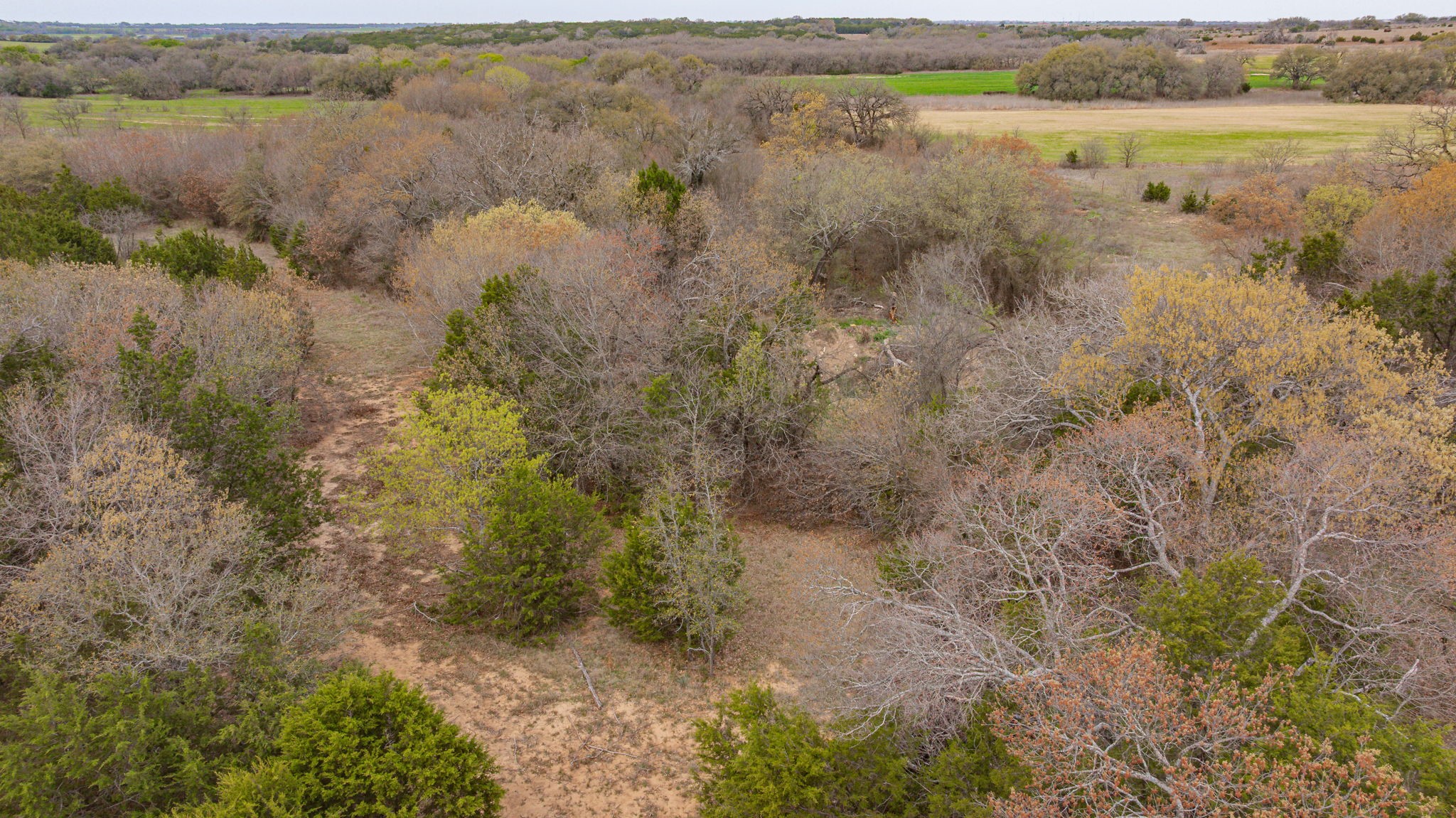 Tbd County Road 317 Dublin TX 76446