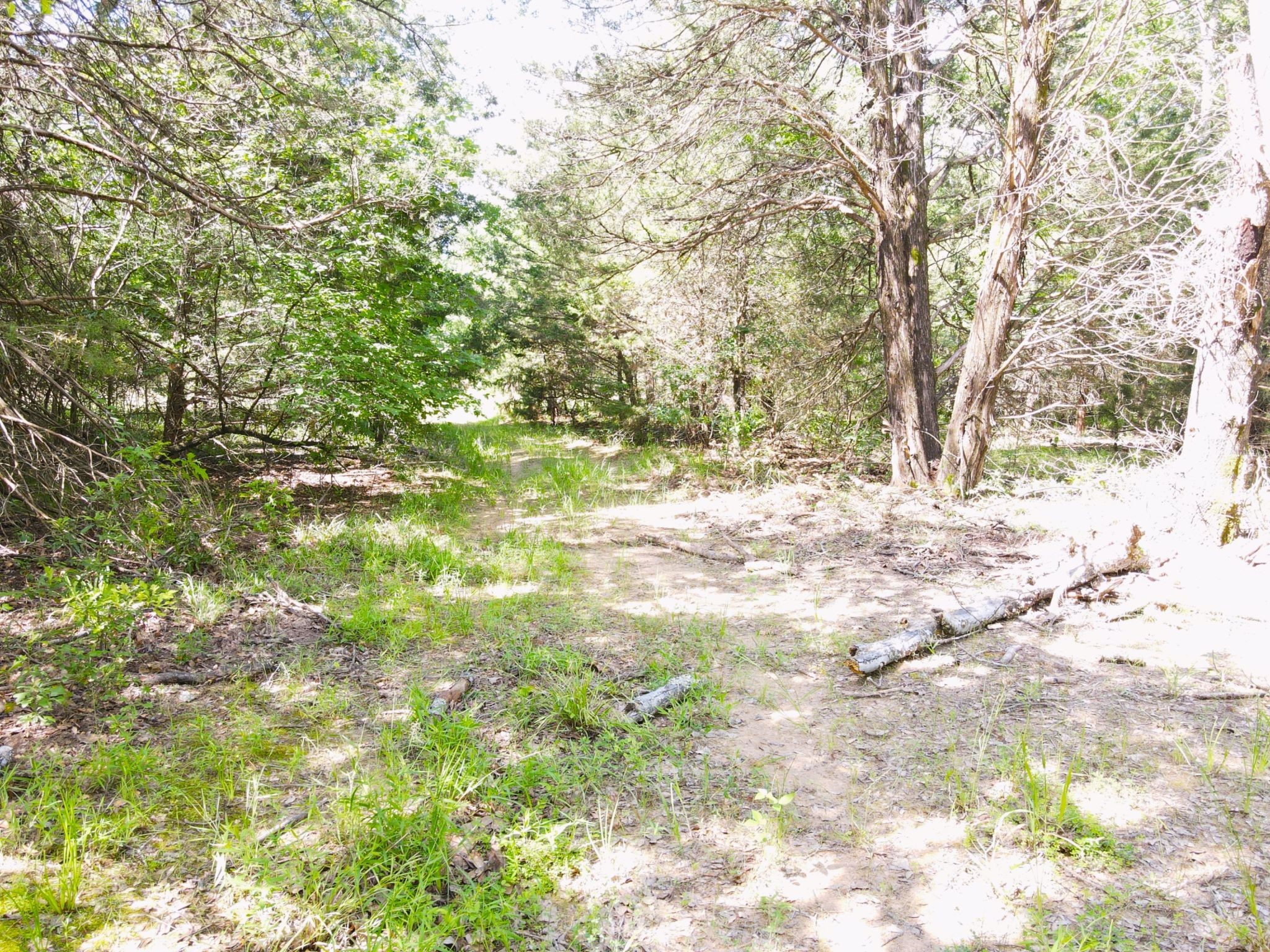 12975 Cr-316 Terrell TX 75161
