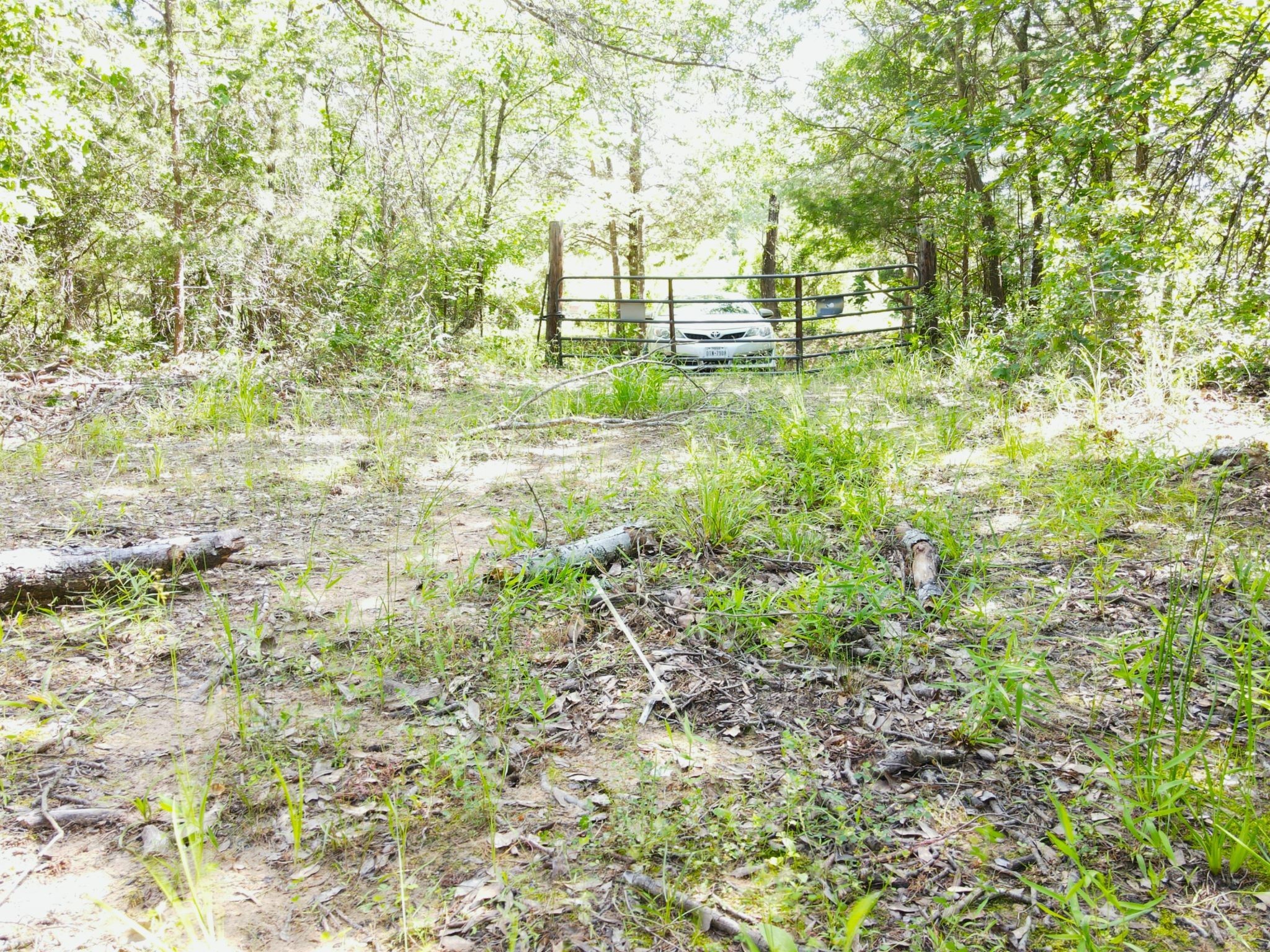 12975 Cr-316 Terrell TX 75161