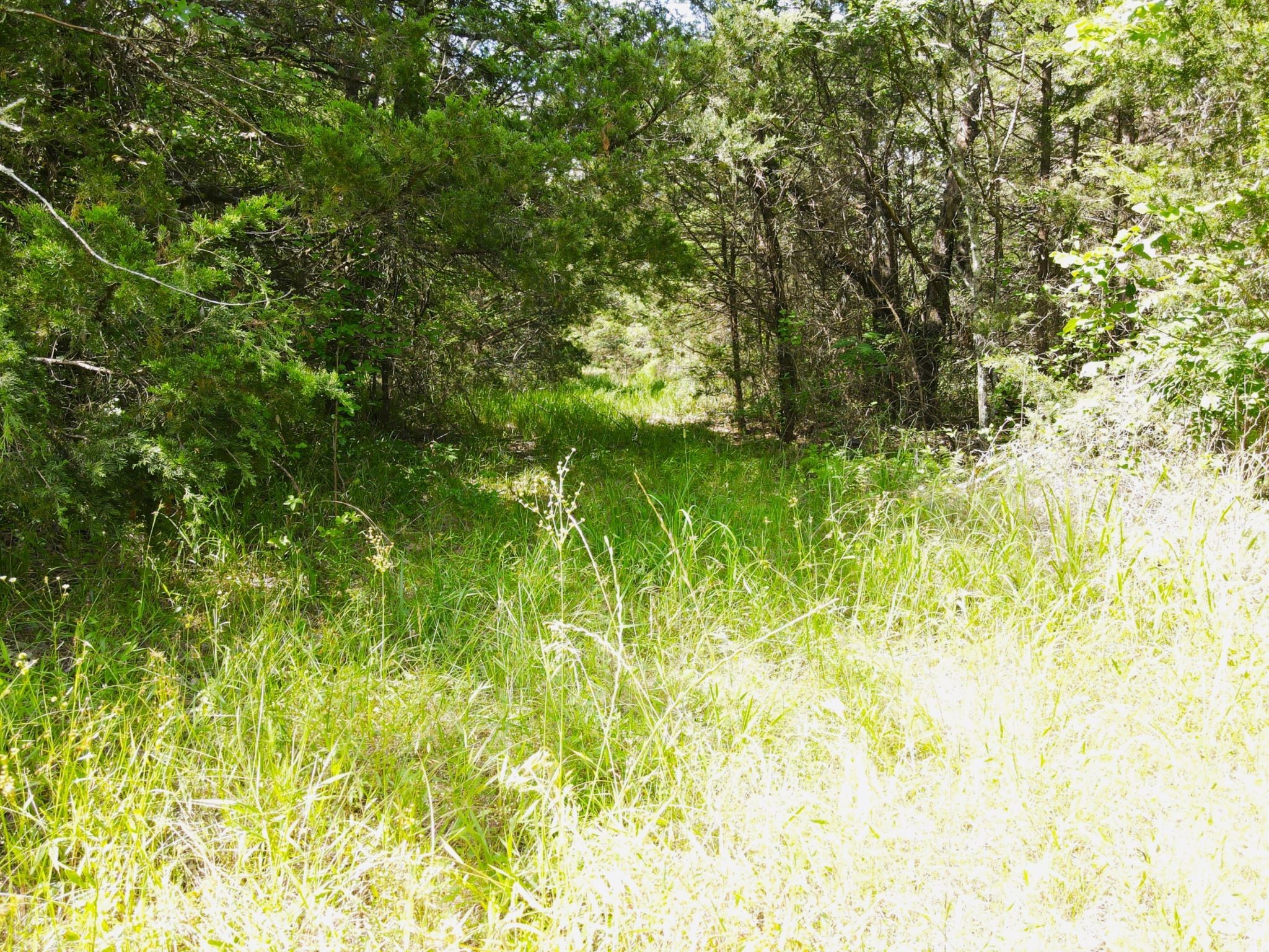 12975 Cr-316 Terrell TX 75161