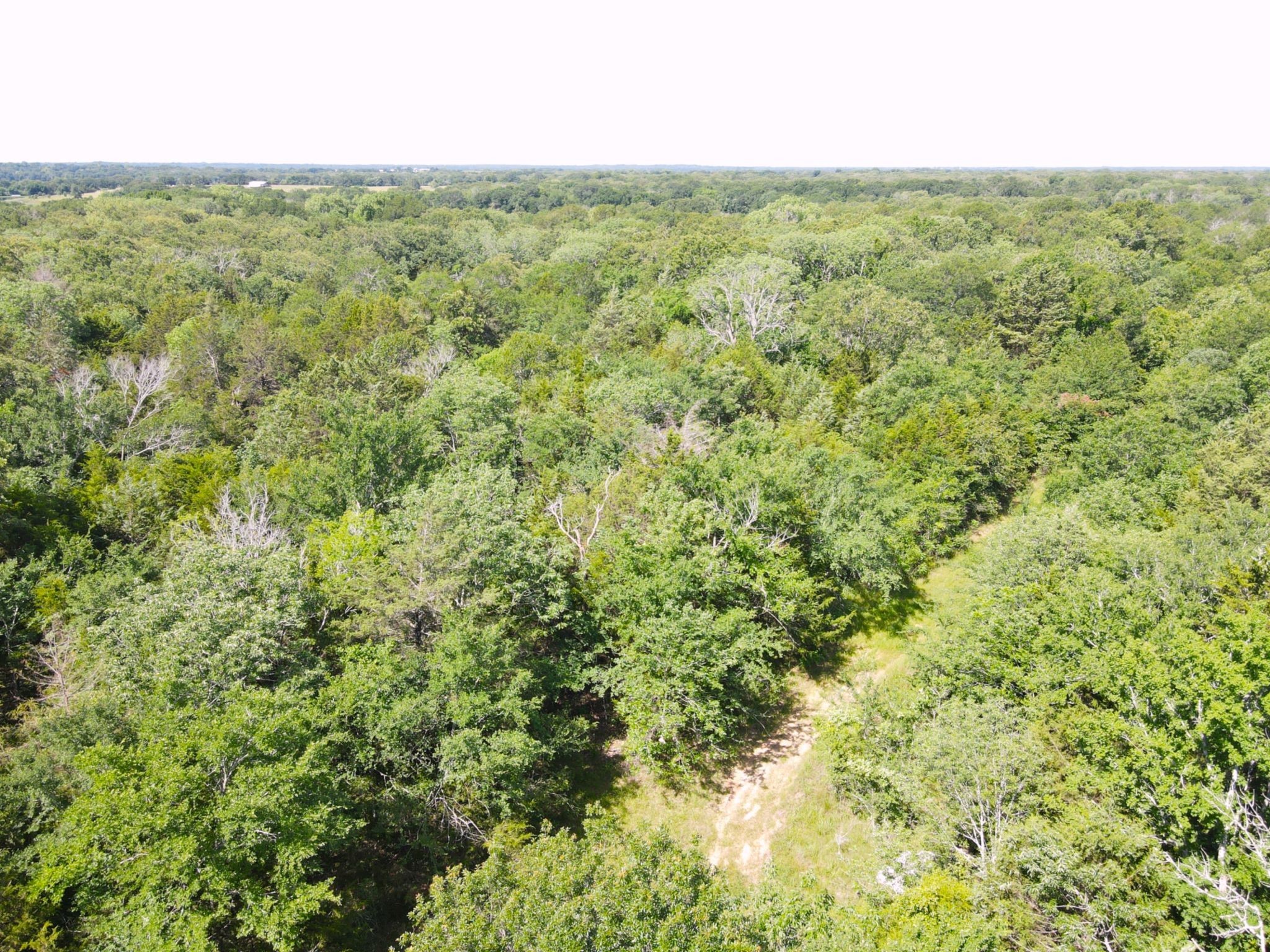 12975 Cr-316 Terrell TX 75161