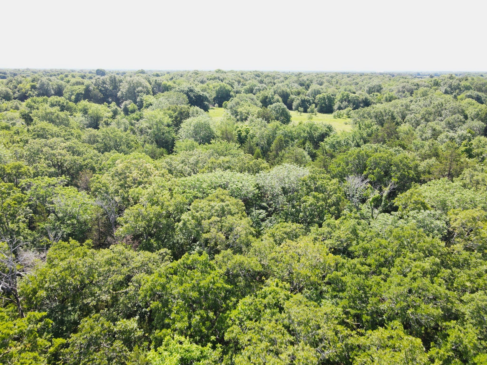 12975 Cr-316 Terrell TX 75161