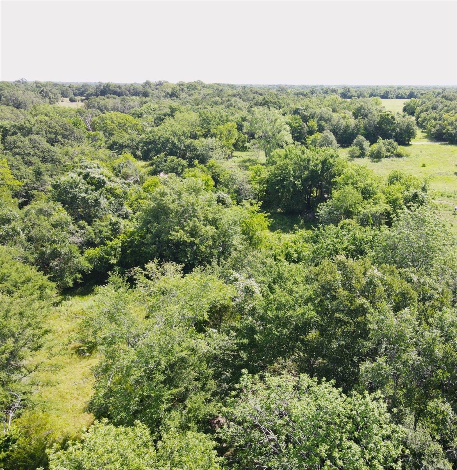 12975 Cr-316 Terrell TX 75161