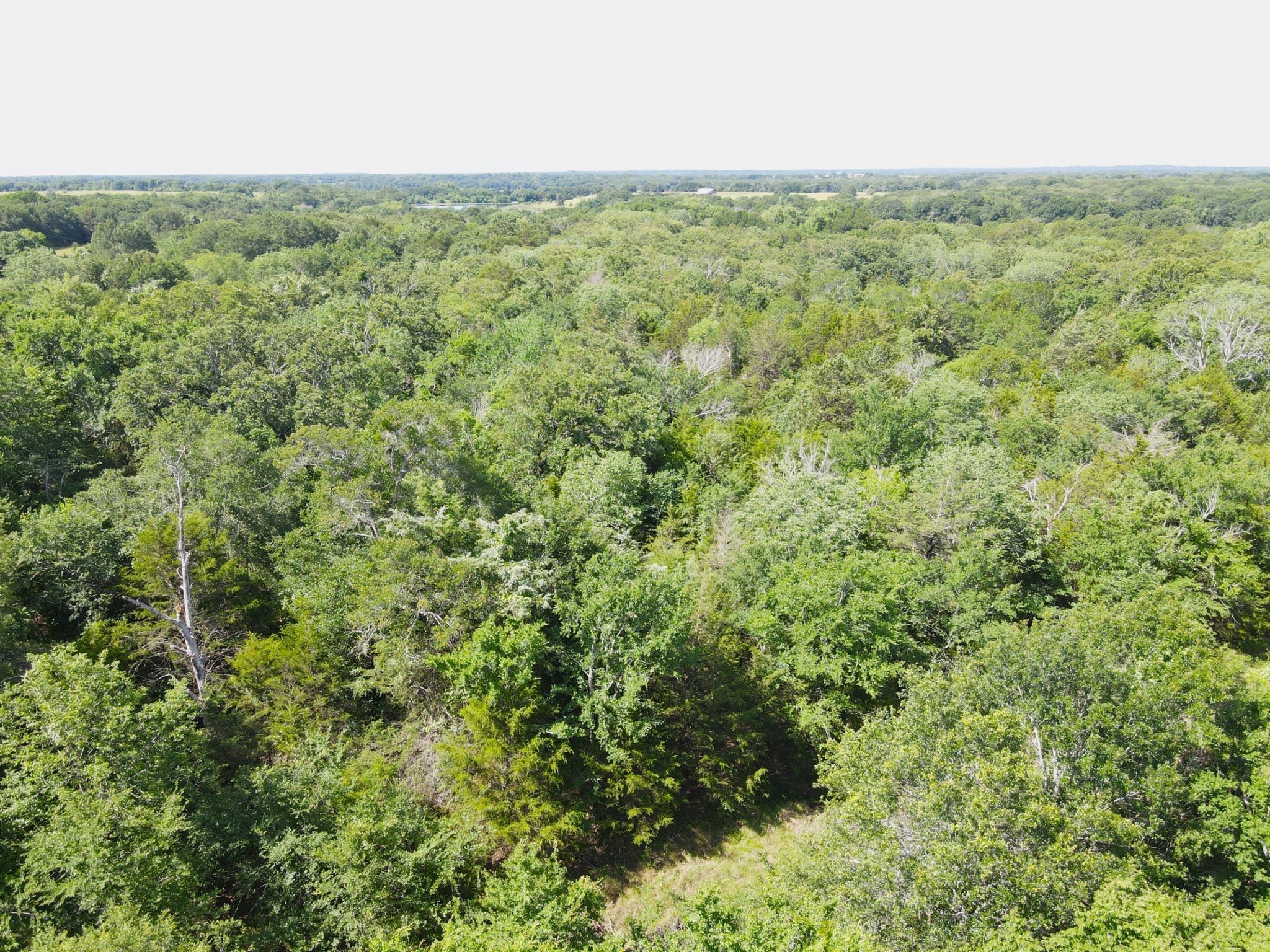 12975 Cr-316 Terrell TX 75161