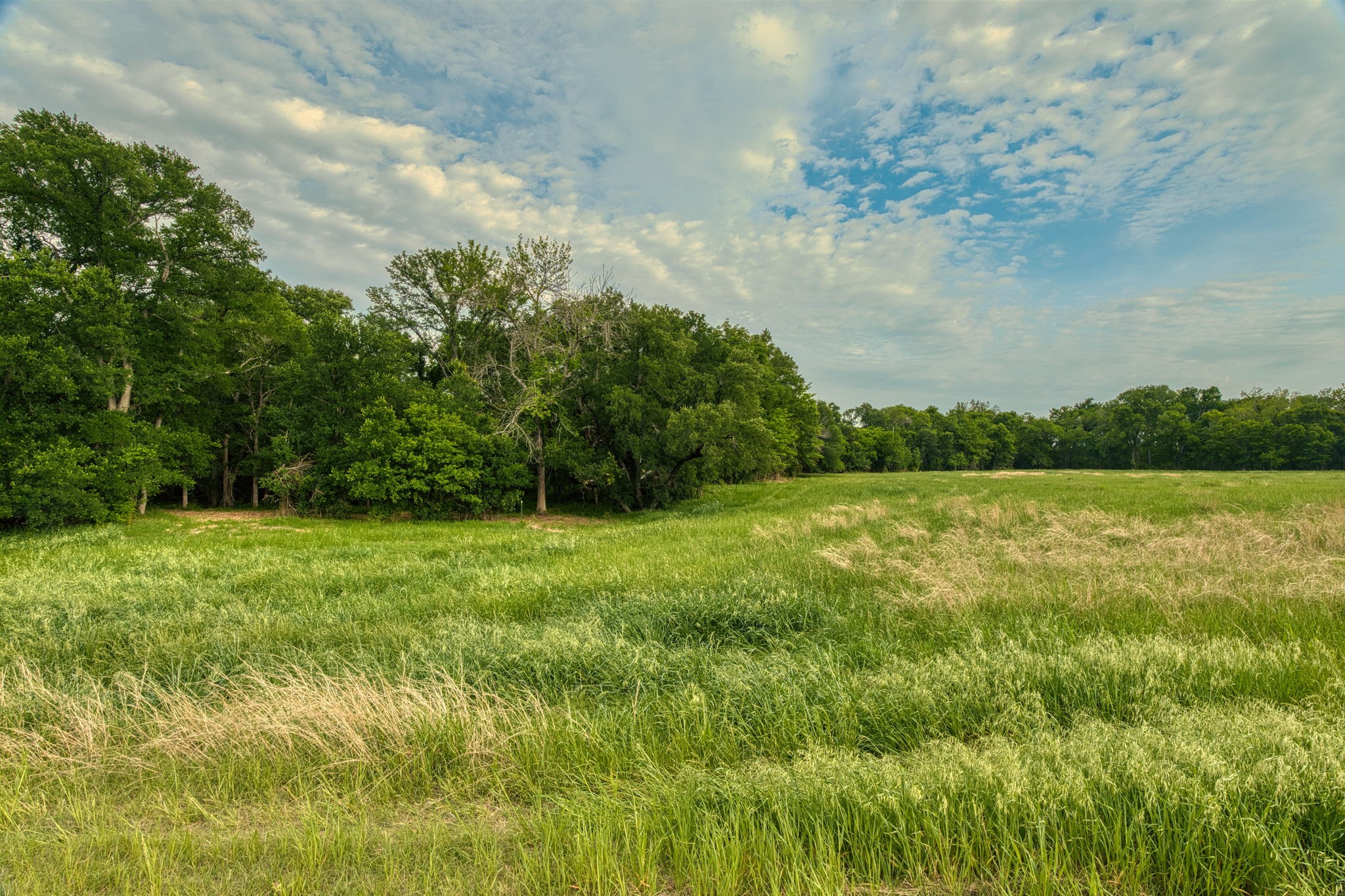 Tract 1 Cr 433 Lorena TX 76655