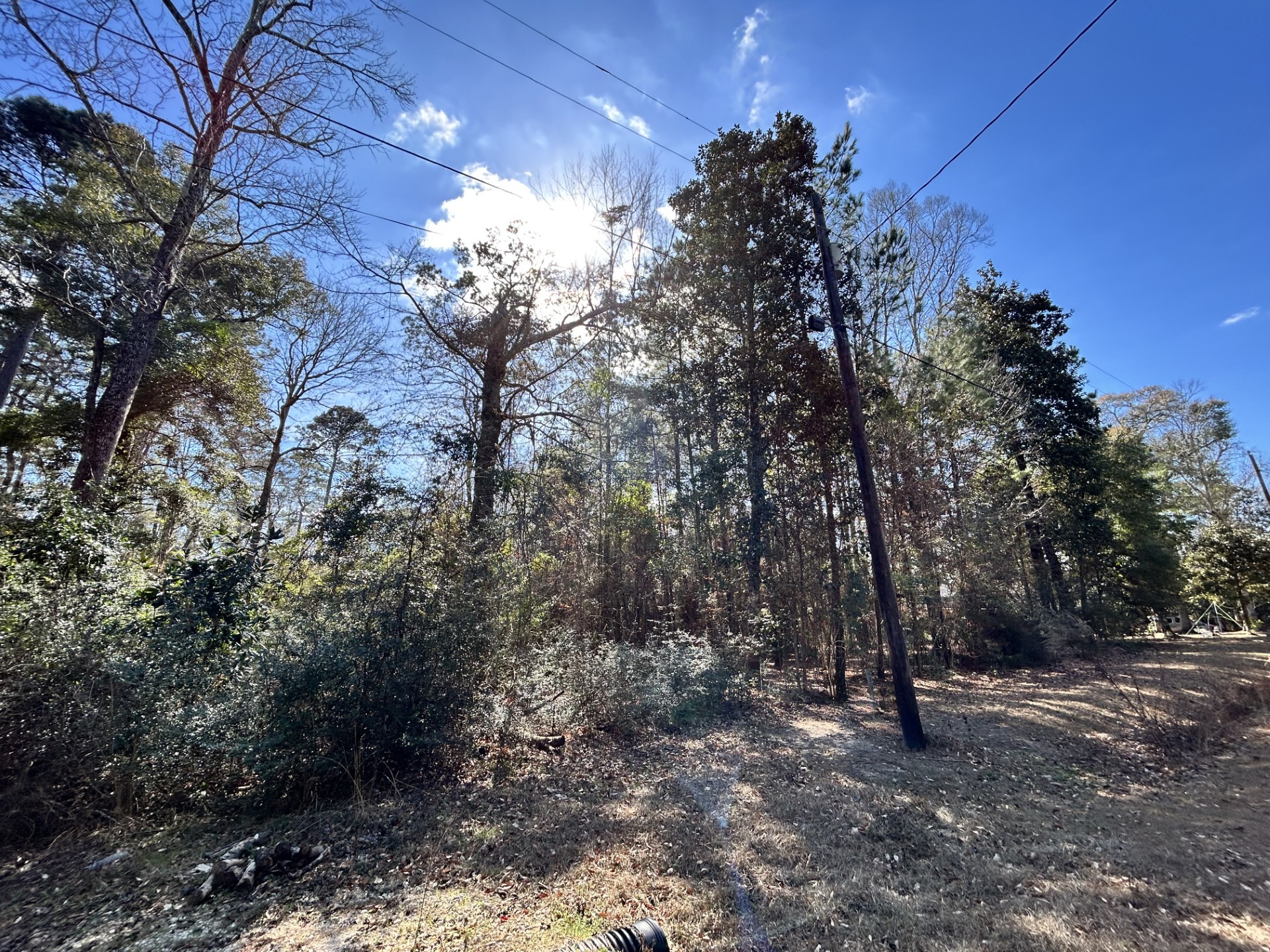 Lot 12 17th Street Woodville TX 75979