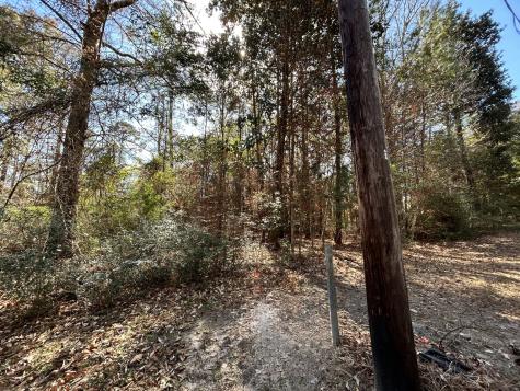 Lot 12 17th Street Woodville TX 75979