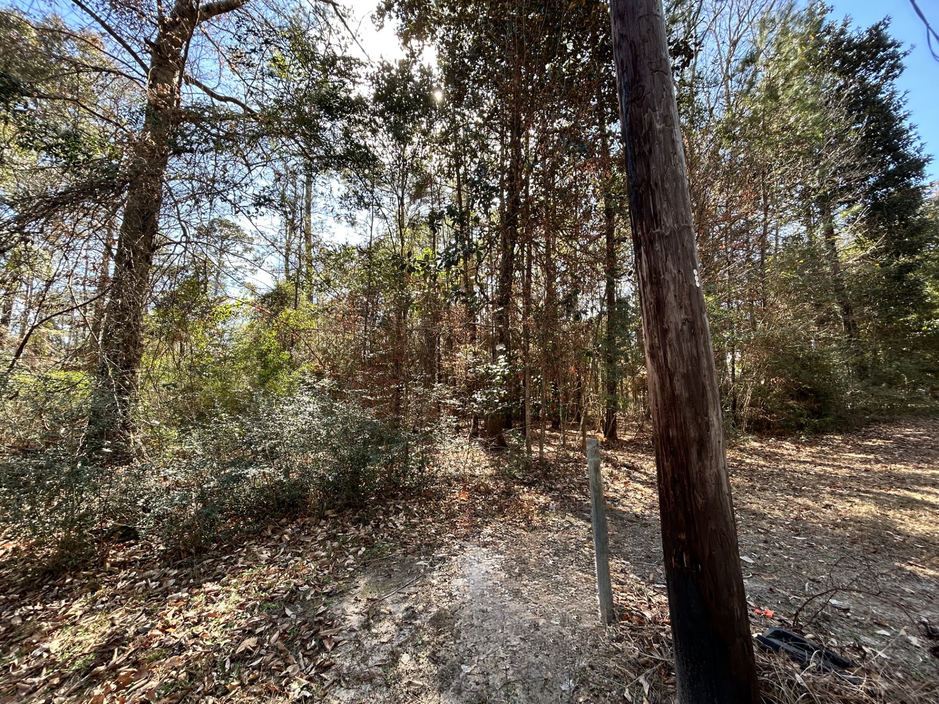 Lot 12 17th Street Woodville TX 75979