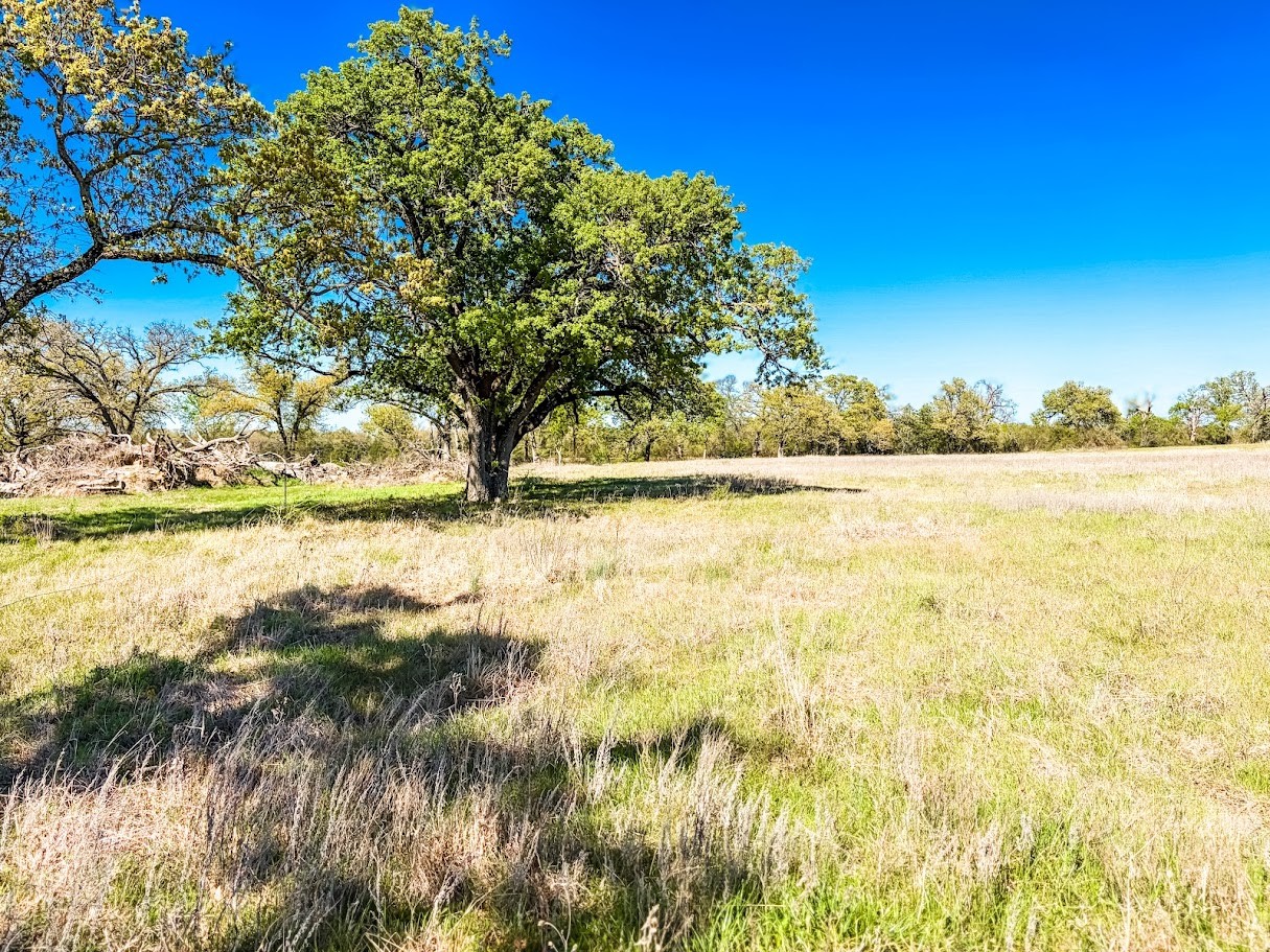 Tbd Tract 4 County Road 930 Teague TX 75860