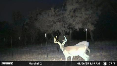401 Cr 498 Goldsboro TX 79519