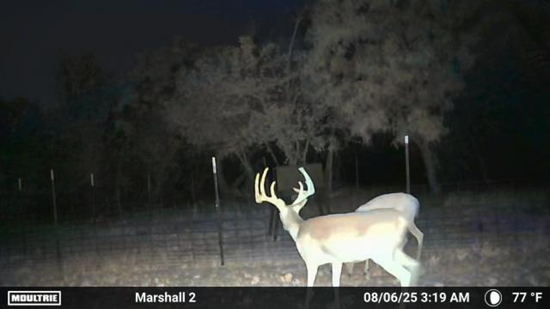 401 Cr 498 Goldsboro TX 79519