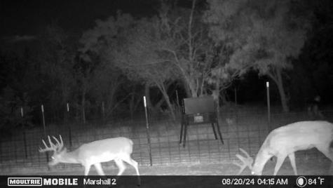 401 Cr 498 Goldsboro TX 79519